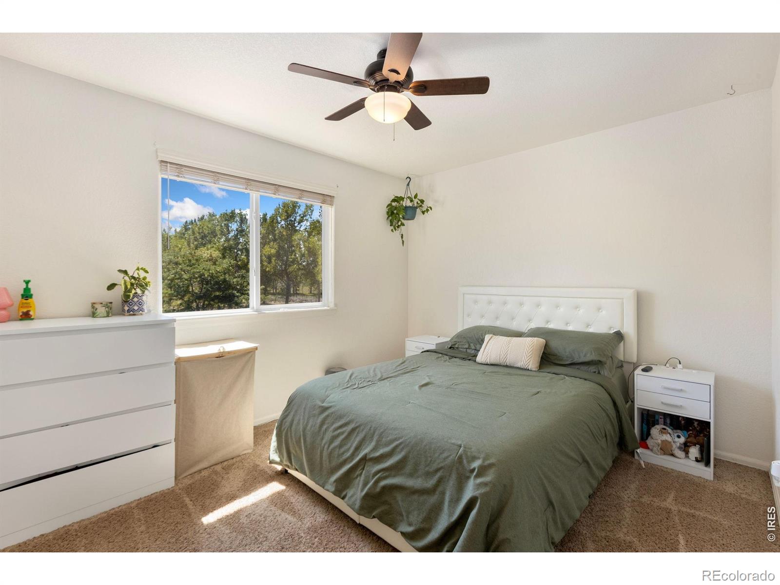 MLS Image #19 for 7720  talon parkway,greeley, Colorado