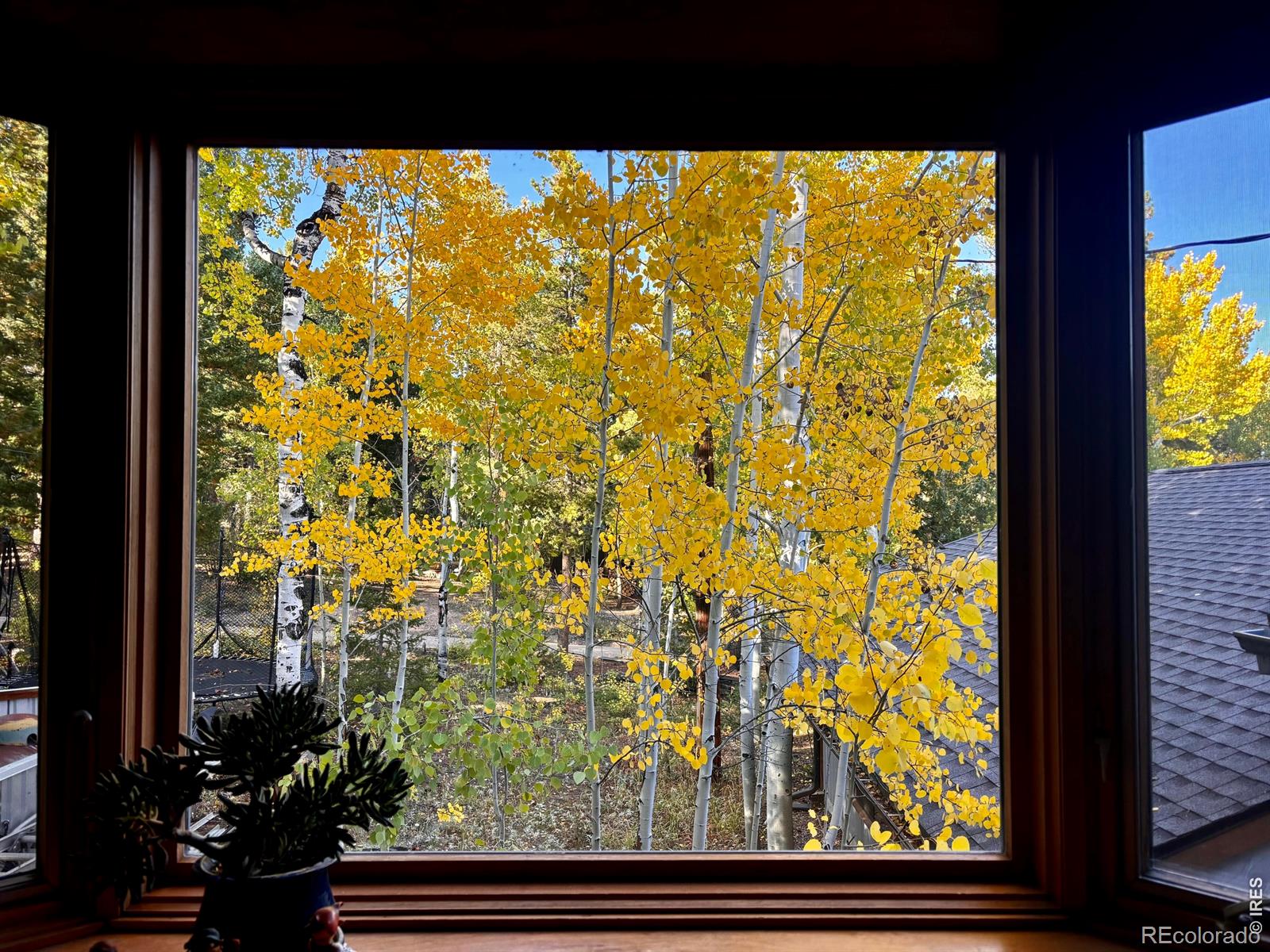 MLS Image #10 for 129  sky view drive,nederland, Colorado