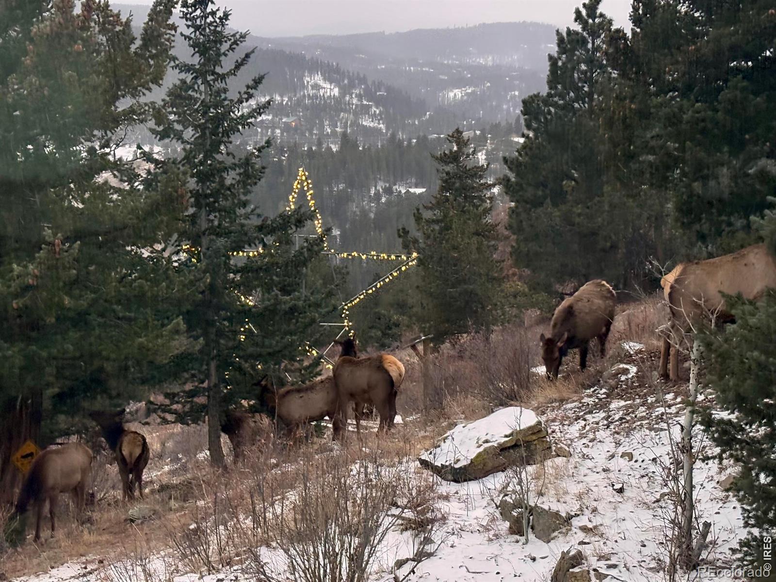 MLS Image #13 for 129  sky view drive,nederland, Colorado
