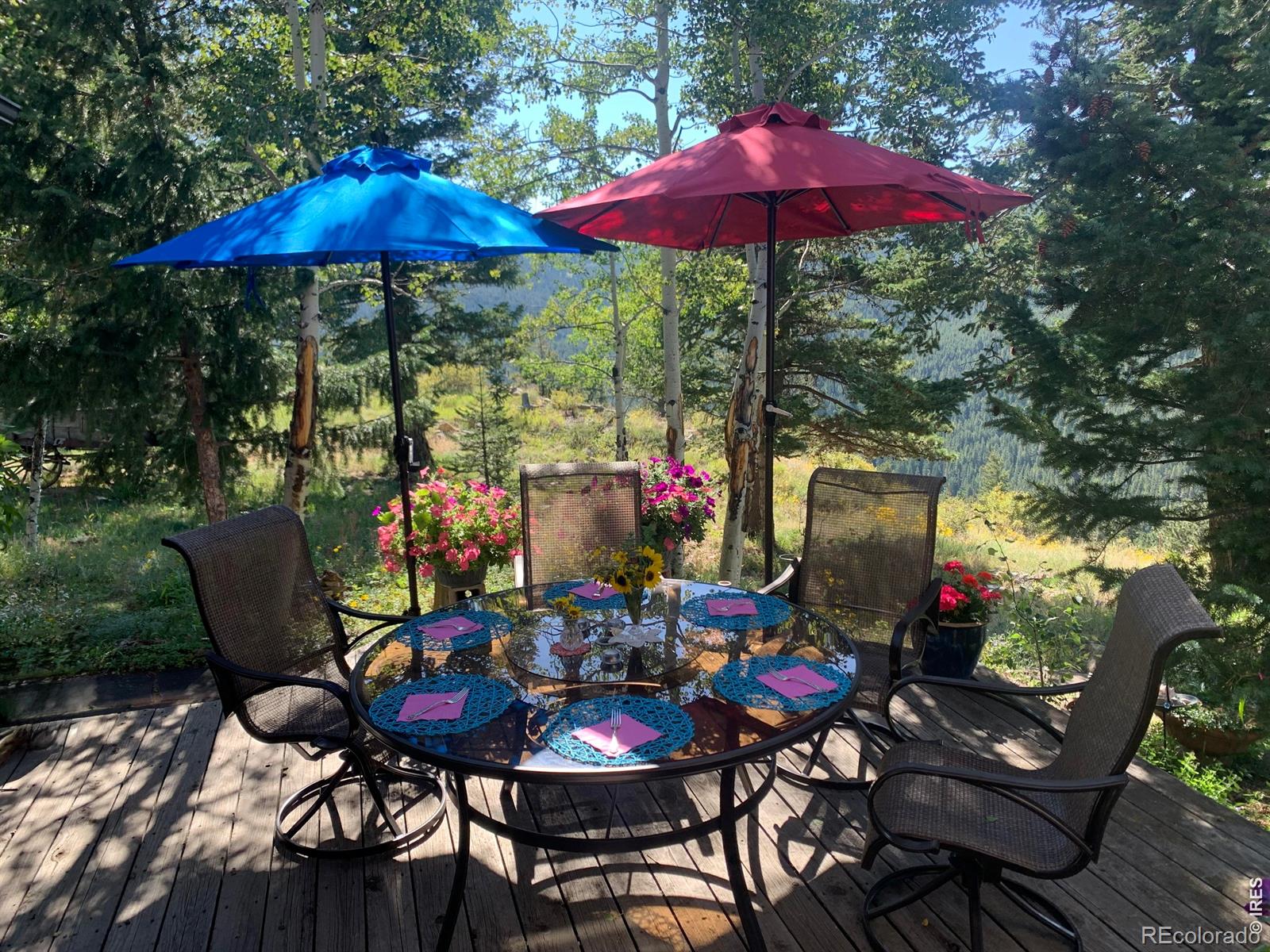 MLS Image #2 for 129  sky view drive,nederland, Colorado