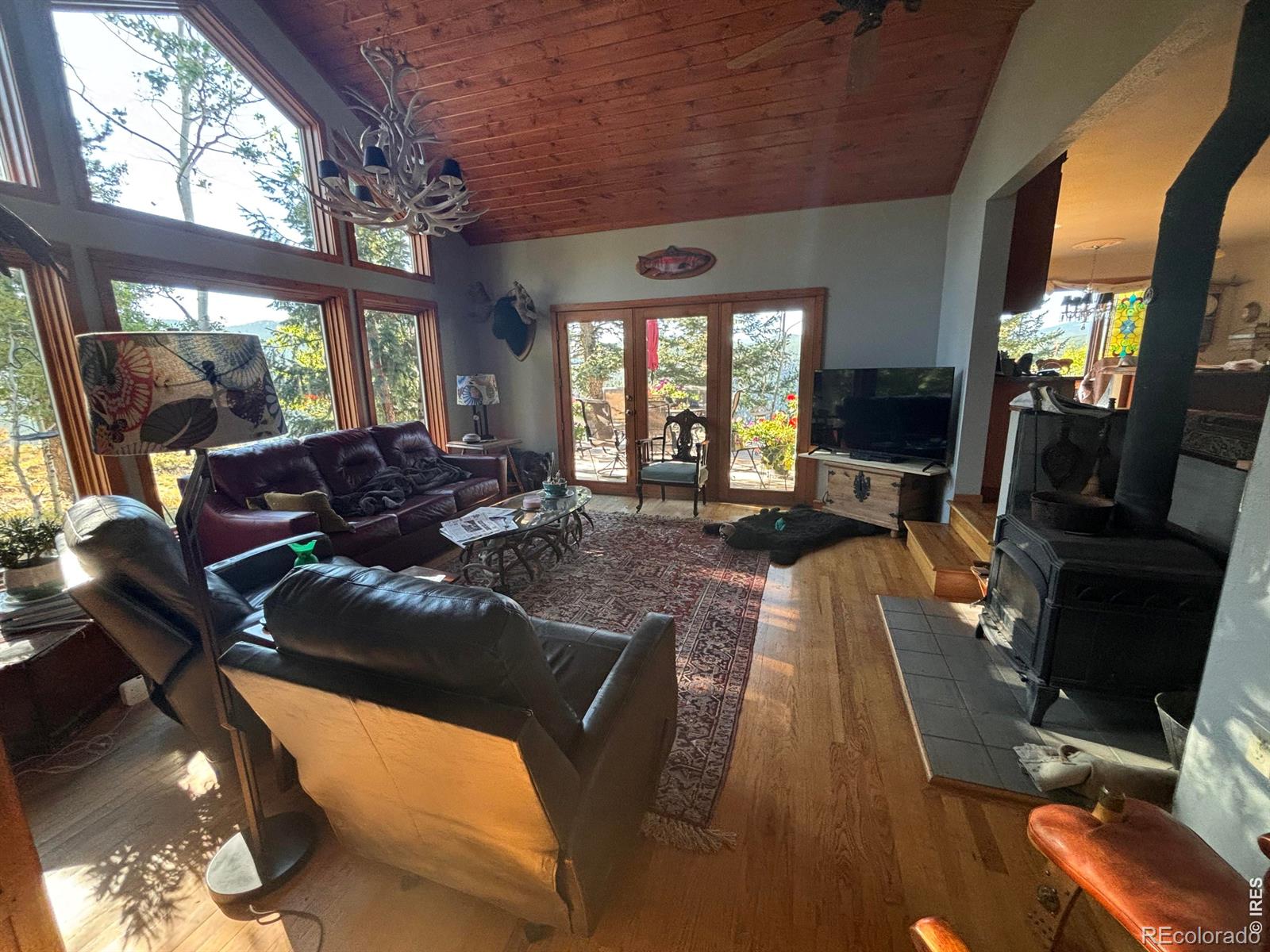 MLS Image #7 for 129  sky view drive,nederland, Colorado