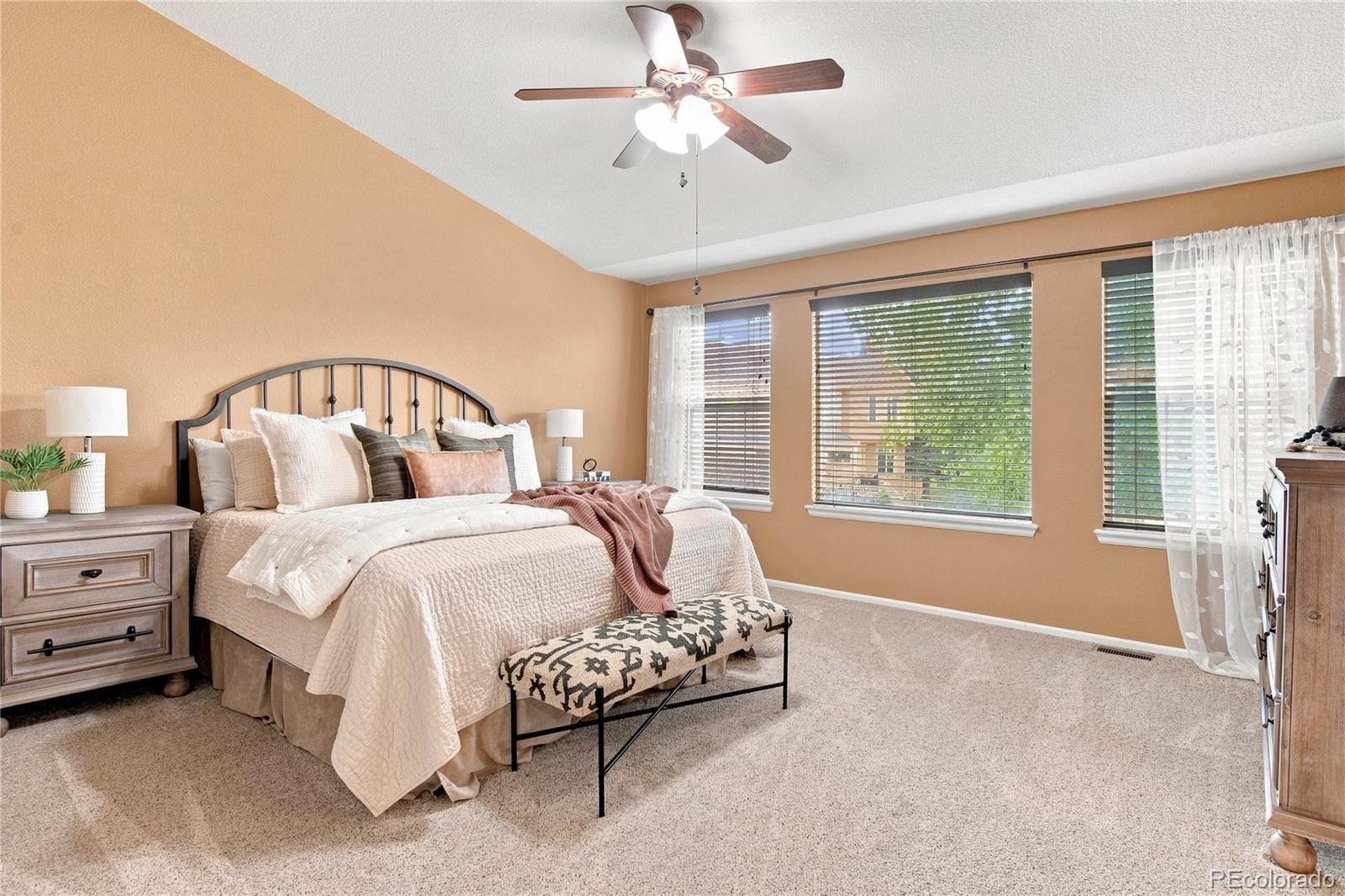 MLS Image #22 for 9723  crowsley court,parker, Colorado