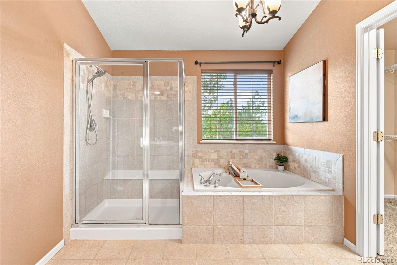 MLS Image #26 for 9723  crowsley court,parker, Colorado