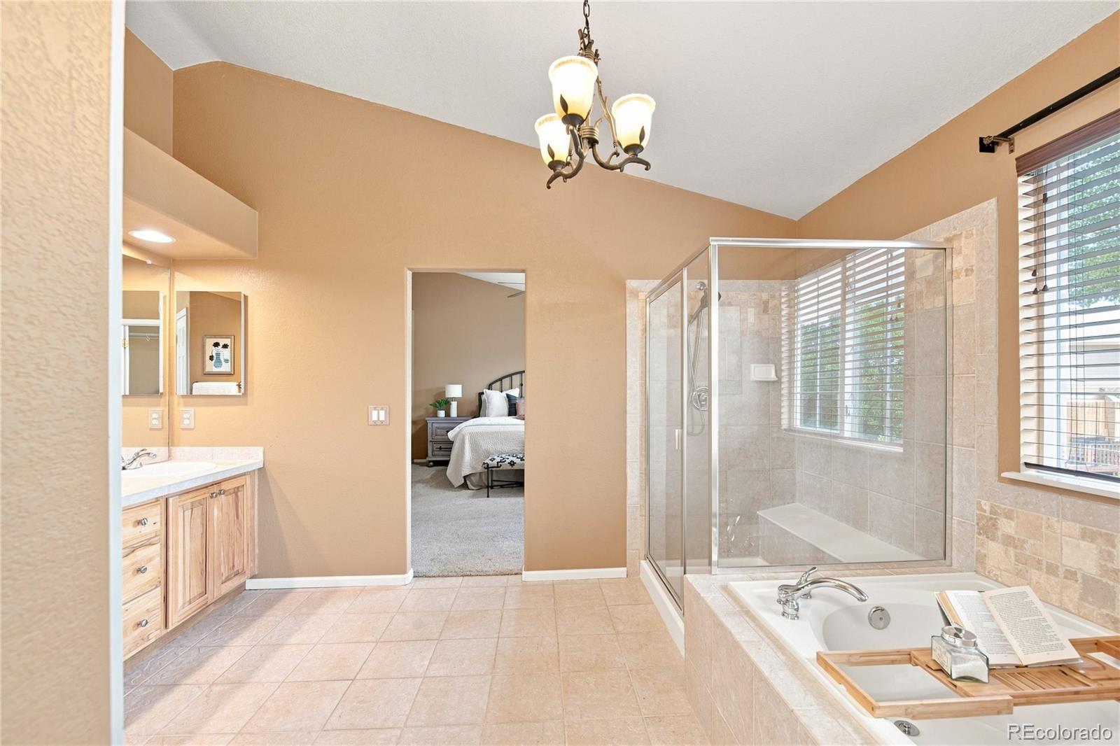 MLS Image #27 for 9723  crowsley court,parker, Colorado