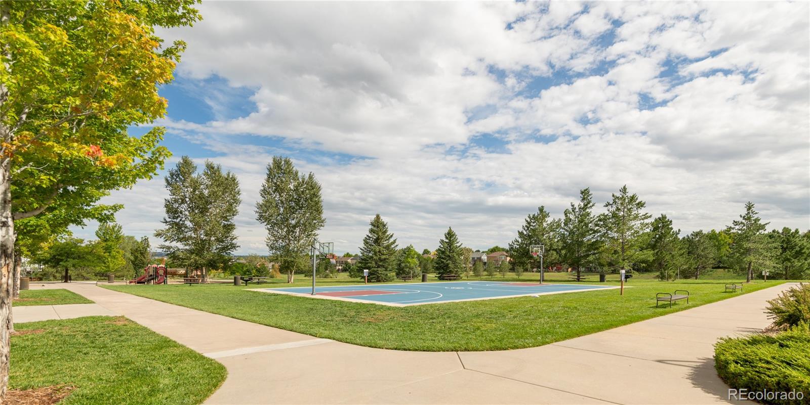 MLS Image #39 for 9723  crowsley court,parker, Colorado