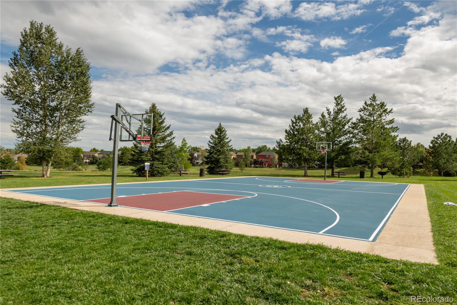 MLS Image #45 for 9723  crowsley court,parker, Colorado