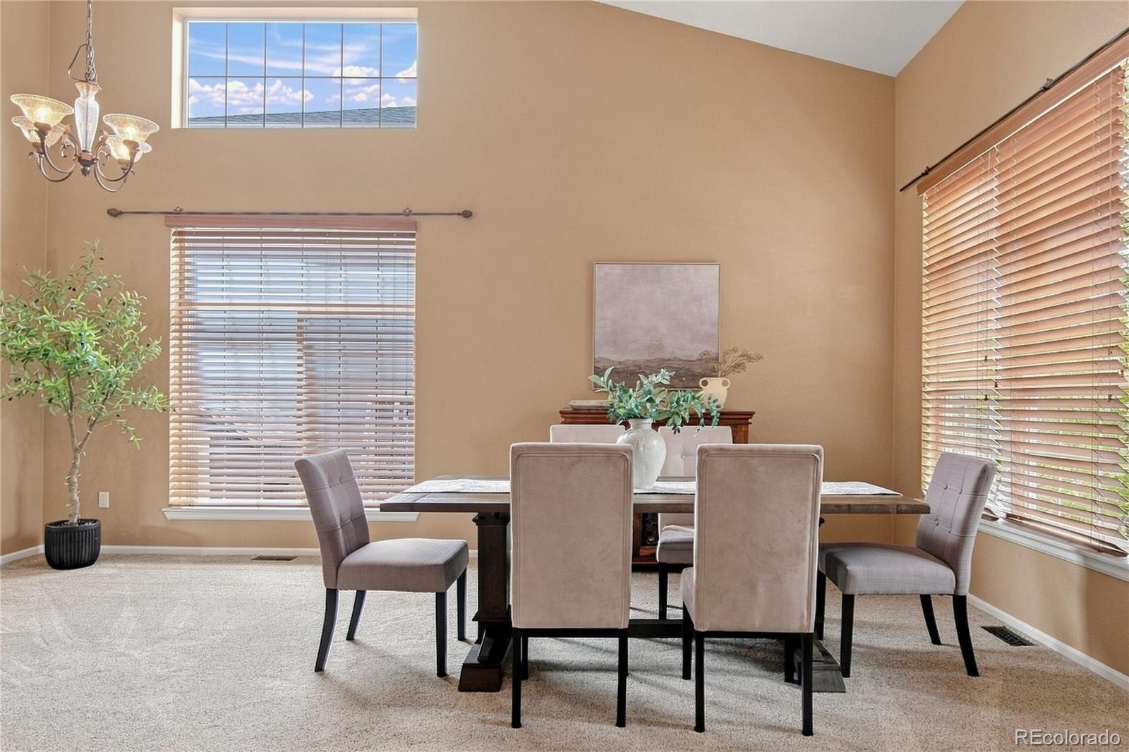MLS Image #6 for 9723  crowsley court,parker, Colorado