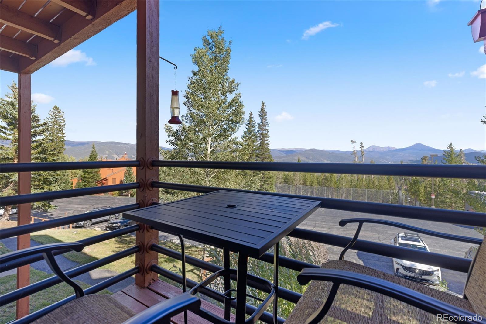 MLS Image #36 for 91400  ryan gulch road,silverthorne, Colorado