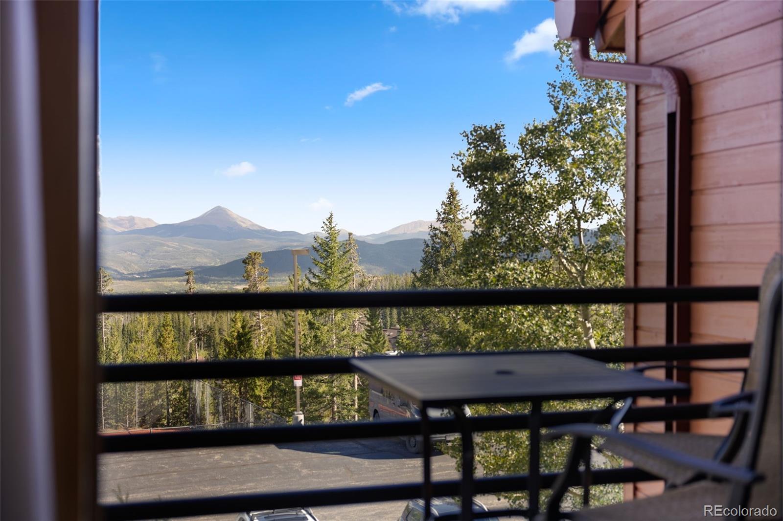 MLS Image #37 for 91400  ryan gulch road,silverthorne, Colorado