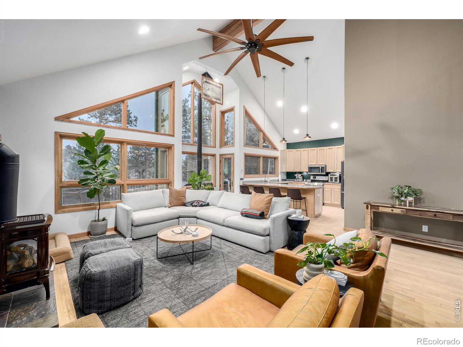 MLS Image #10 for 317  ridge road,ward, Colorado