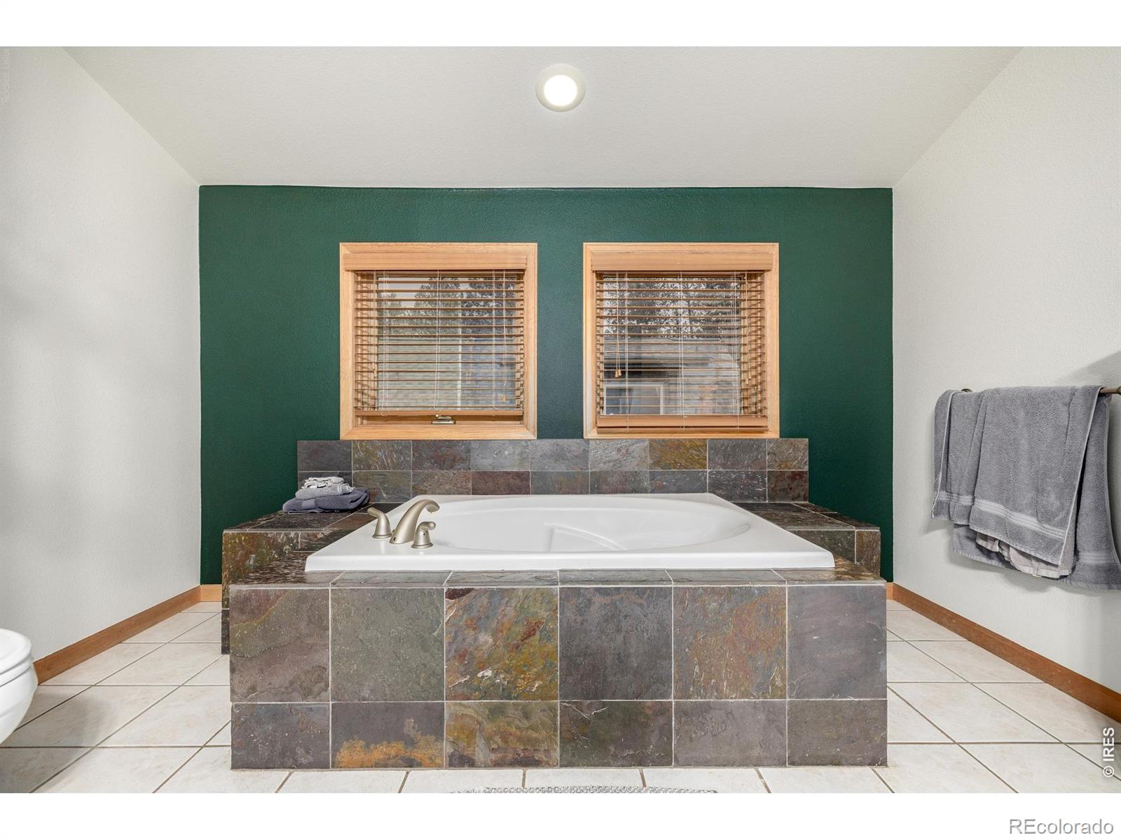 MLS Image #16 for 317  ridge road,ward, Colorado