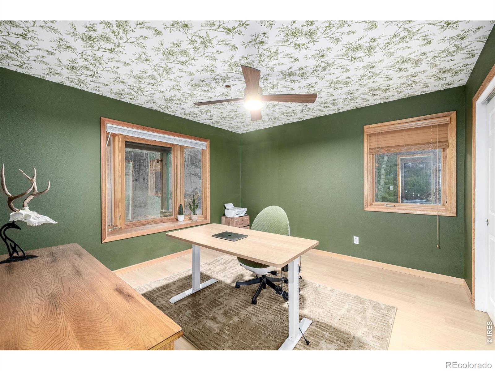 MLS Image #17 for 317  ridge road,ward, Colorado