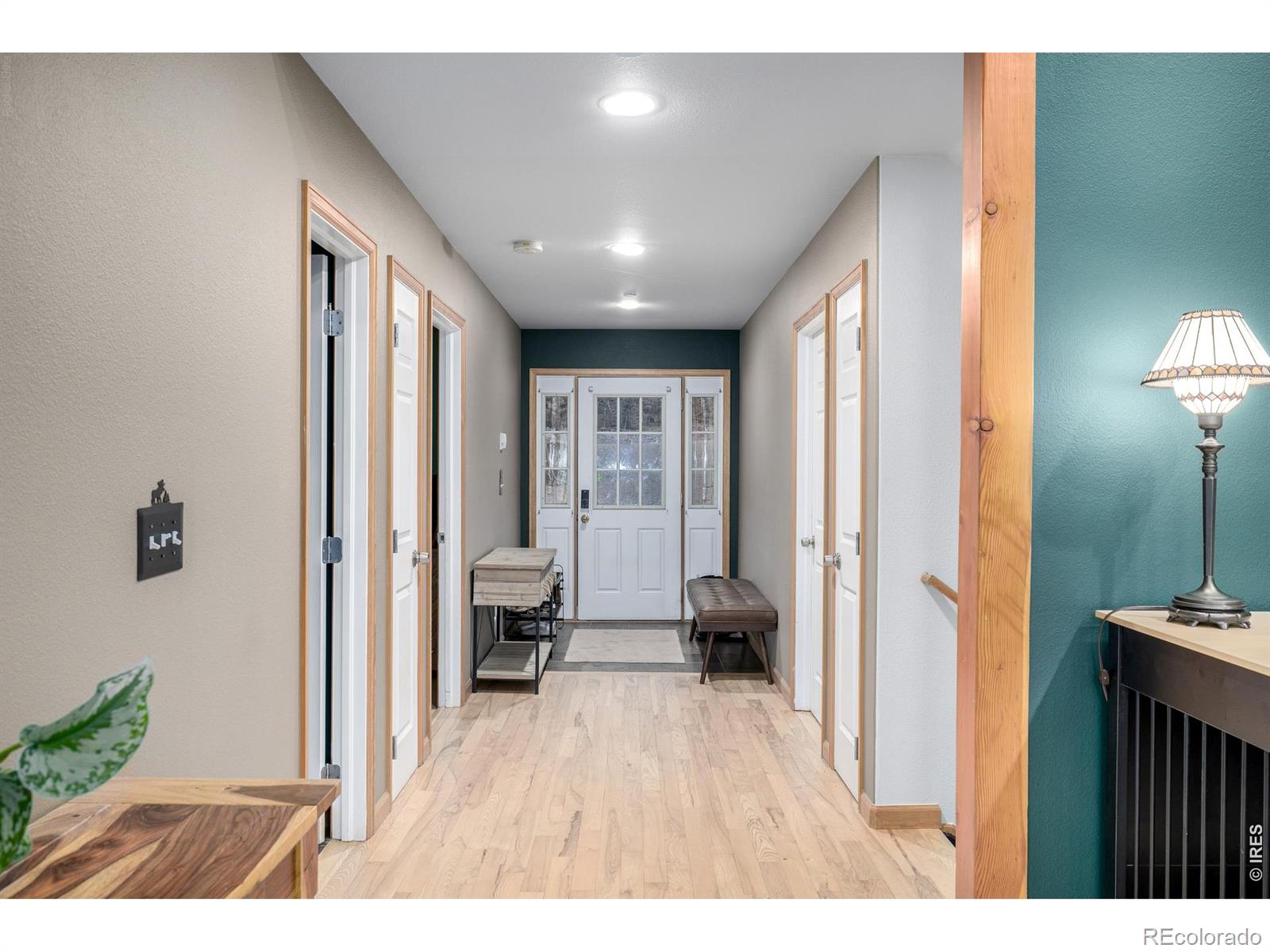 MLS Image #3 for 317  ridge road,ward, Colorado
