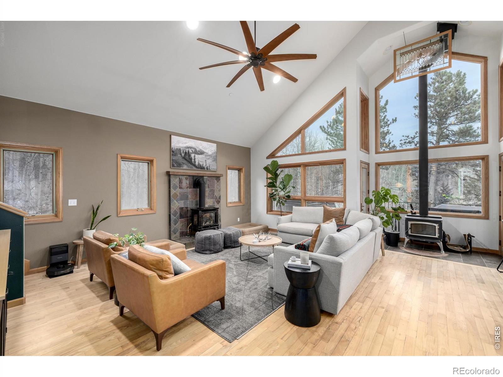 MLS Image #5 for 317  ridge road,ward, Colorado