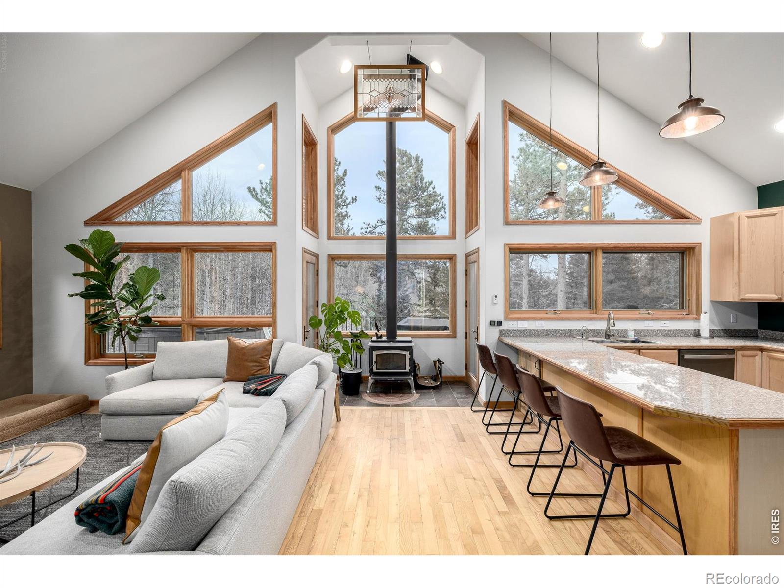 MLS Image #6 for 317  ridge road,ward, Colorado