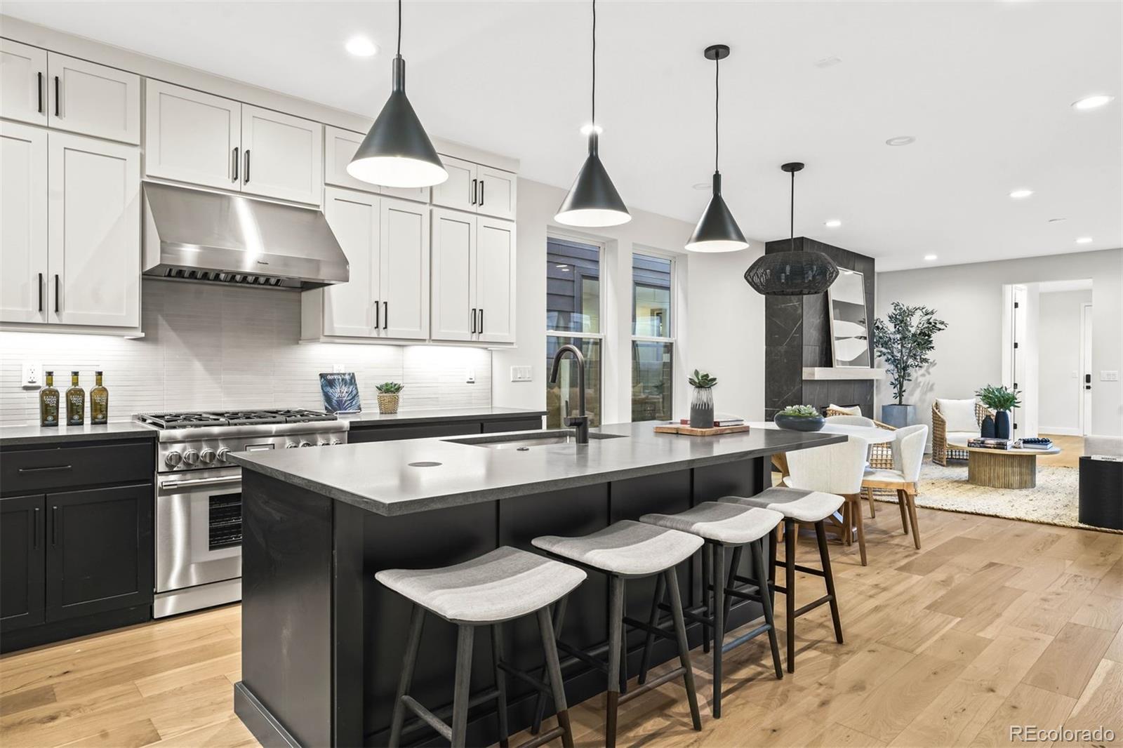 MLS Image #3 for 574  adams street,denver, Colorado