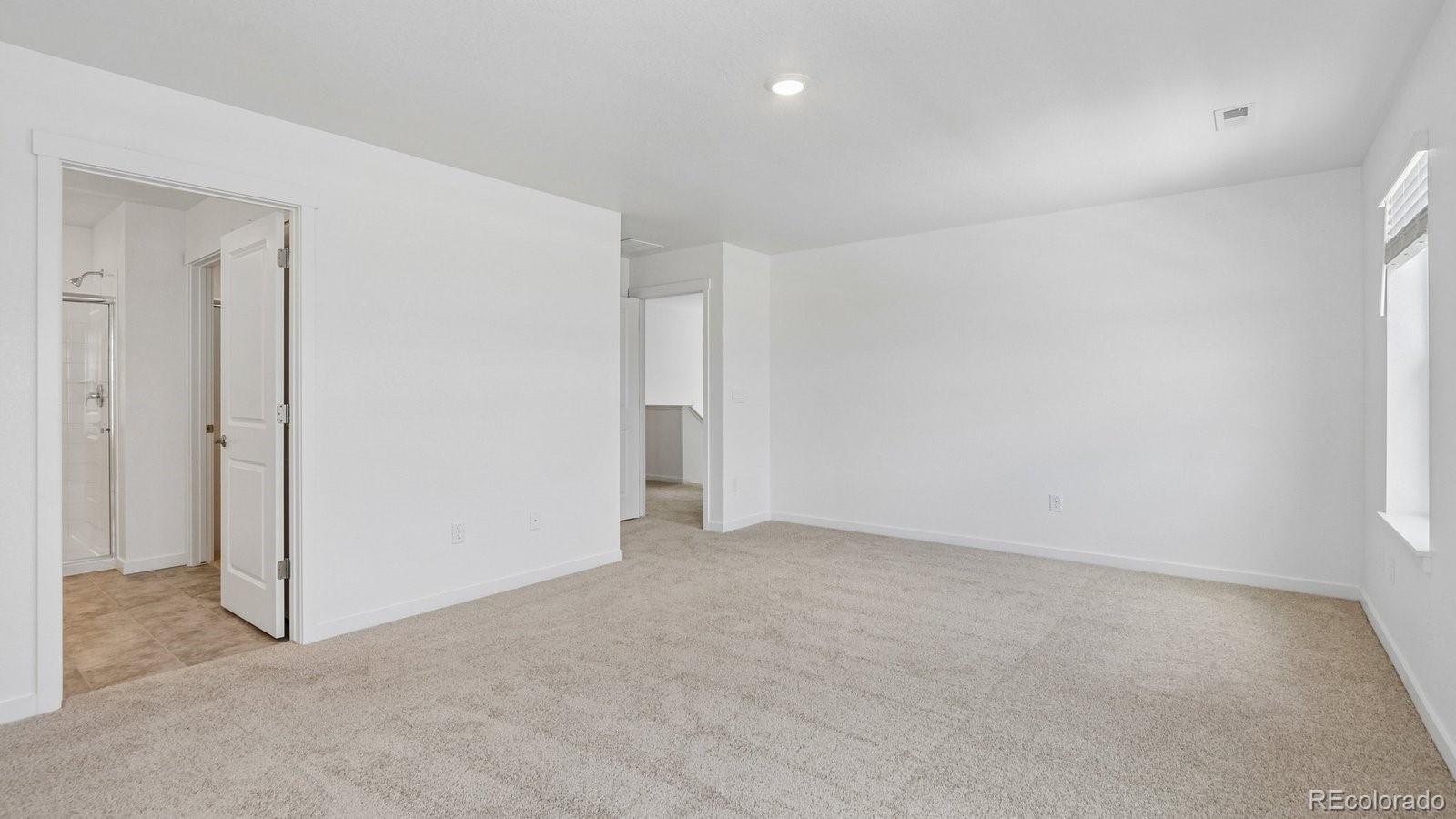 MLS Image #16 for 1251  pinnacle avenue,lochbuie, Colorado