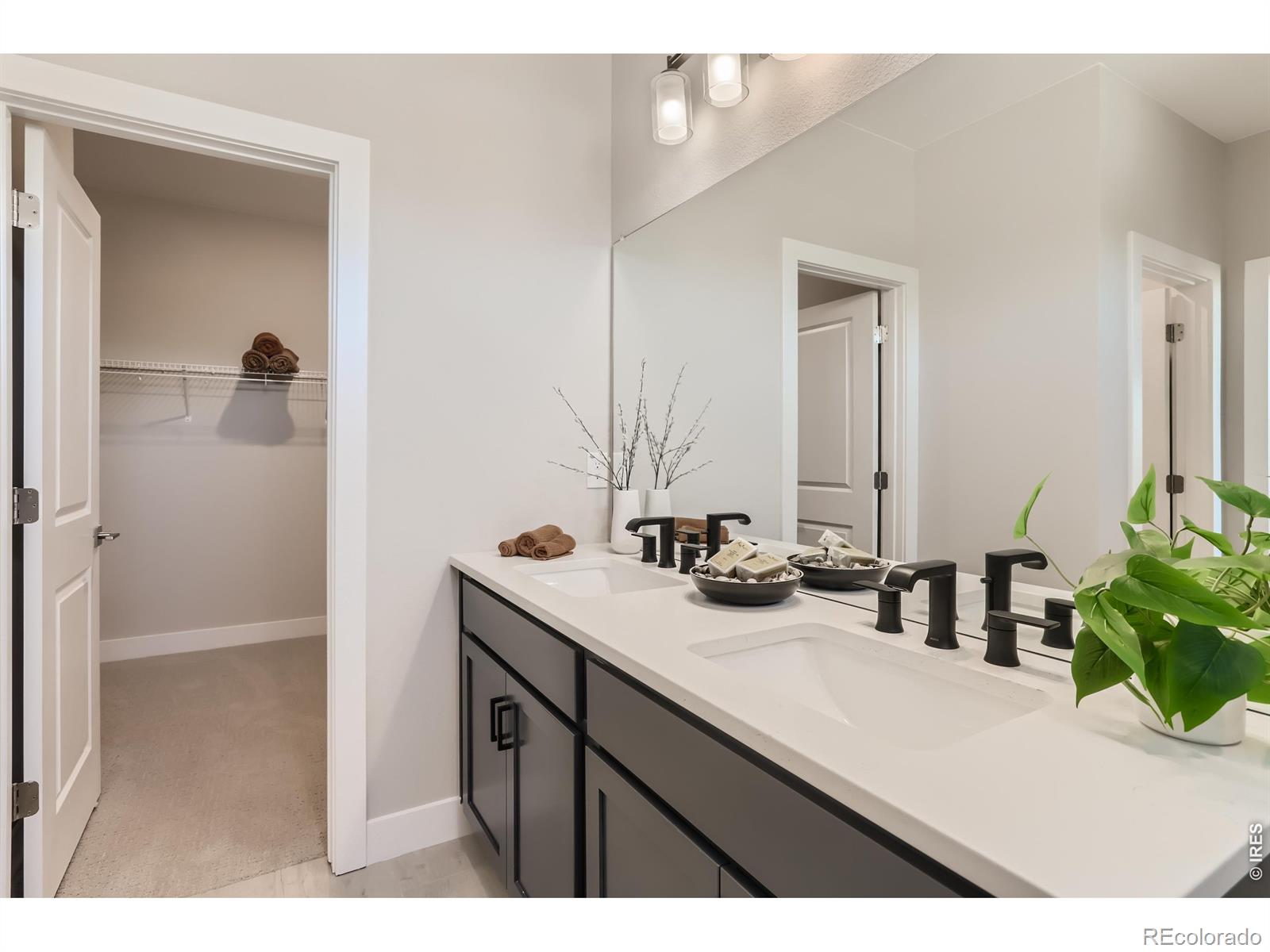 MLS Image #20 for 1814  baltusrol drive,fort collins, Colorado