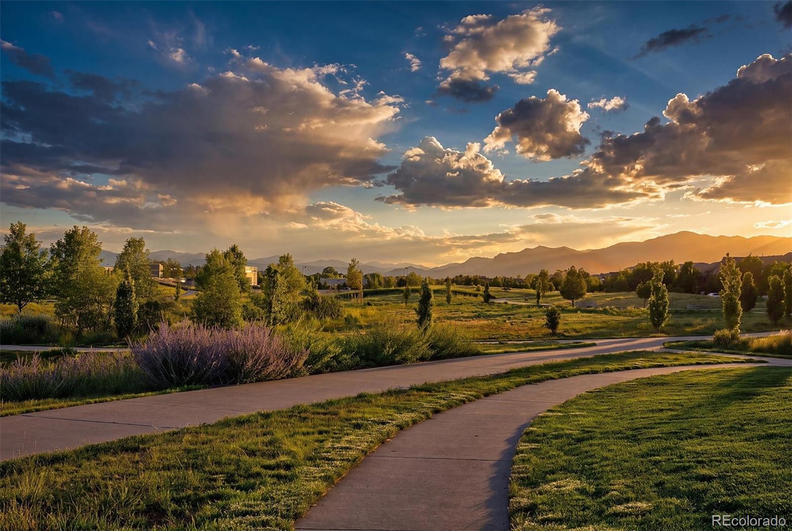 MLS Image #49 for 2633  galena street,denver, Colorado
