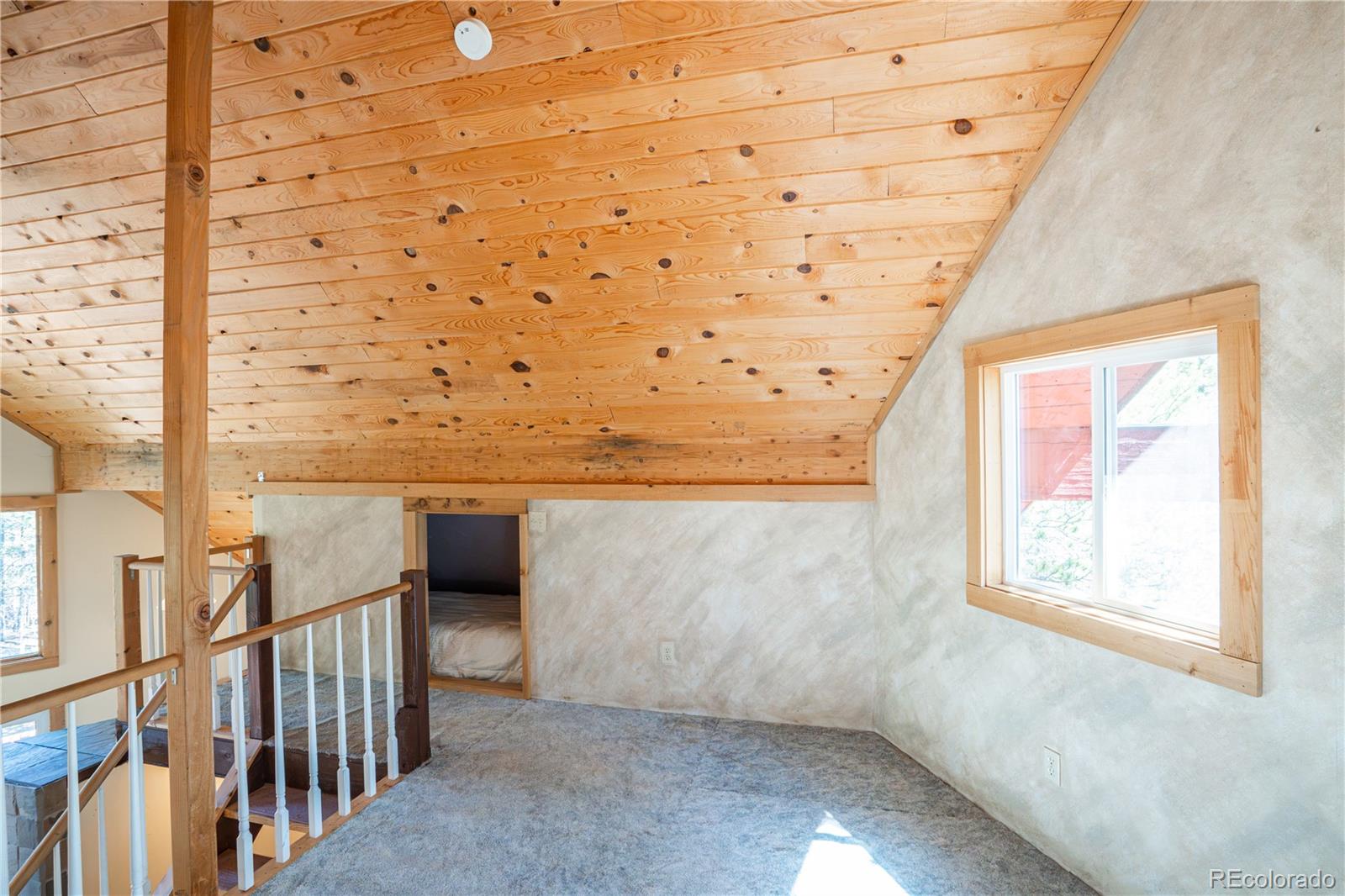 MLS Image #23 for 643  spruce drive,twin lakes, Colorado