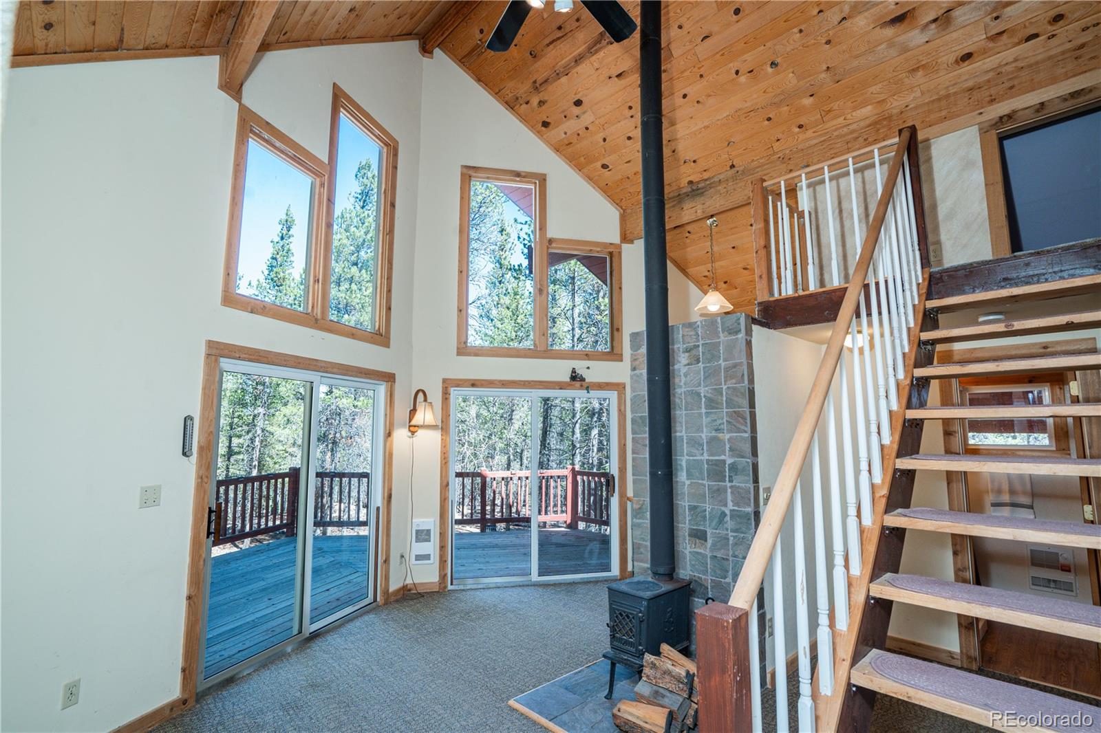 MLS Image #3 for 643  spruce drive,twin lakes, Colorado