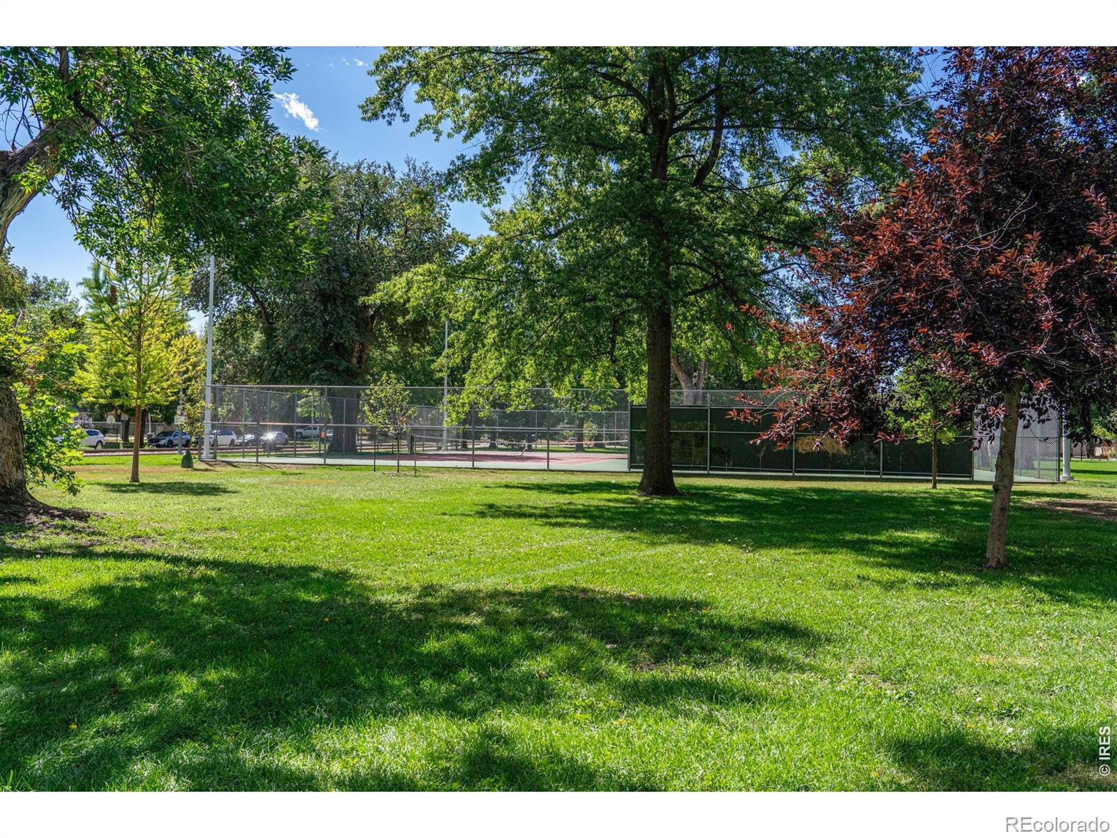 MLS Image #39 for 352  collyer street,longmont, Colorado