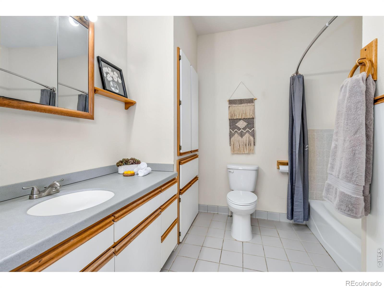 MLS Image #14 for 400  gait circle,fort collins, Colorado