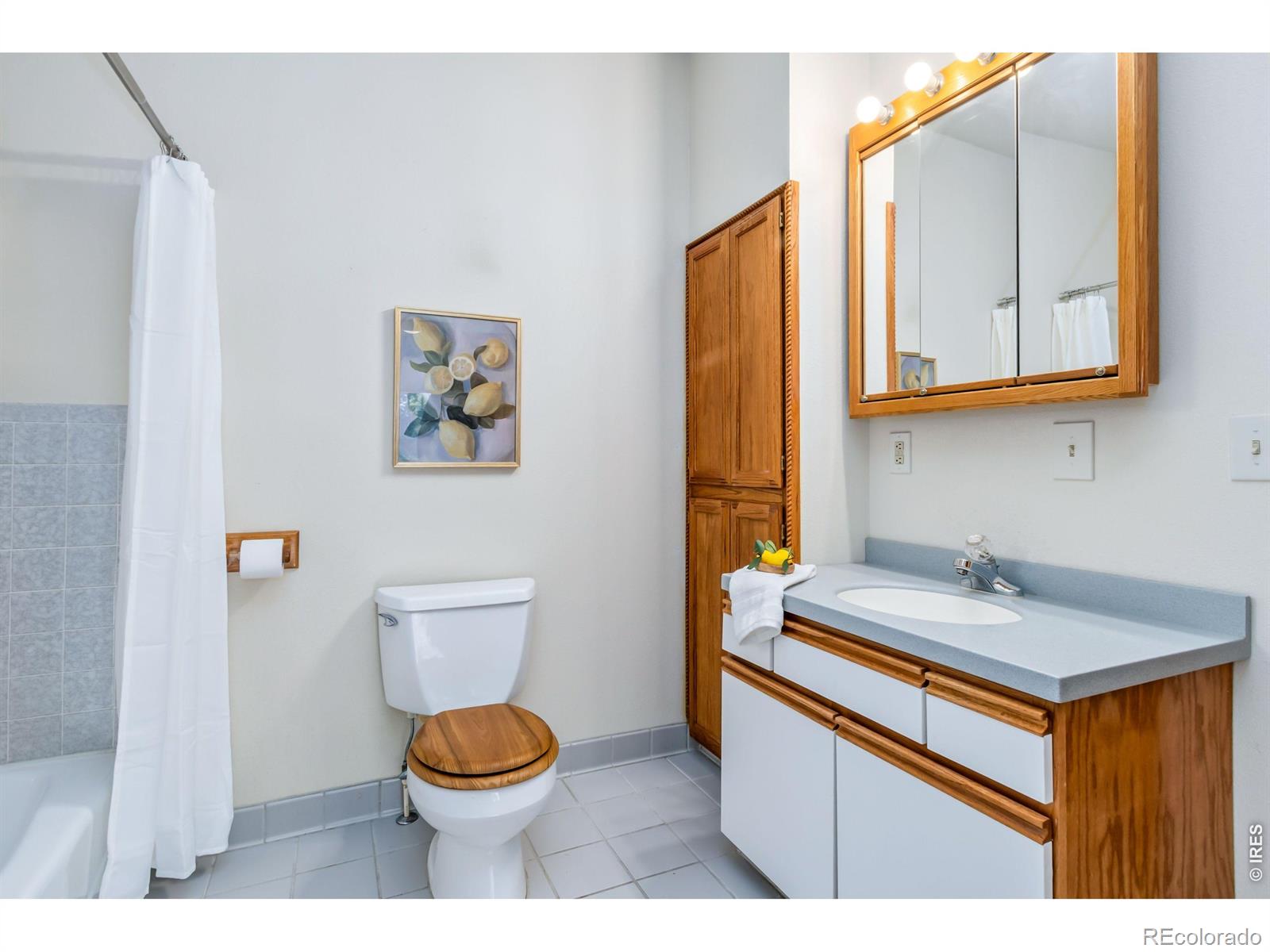 MLS Image #18 for 400  gait circle,fort collins, Colorado