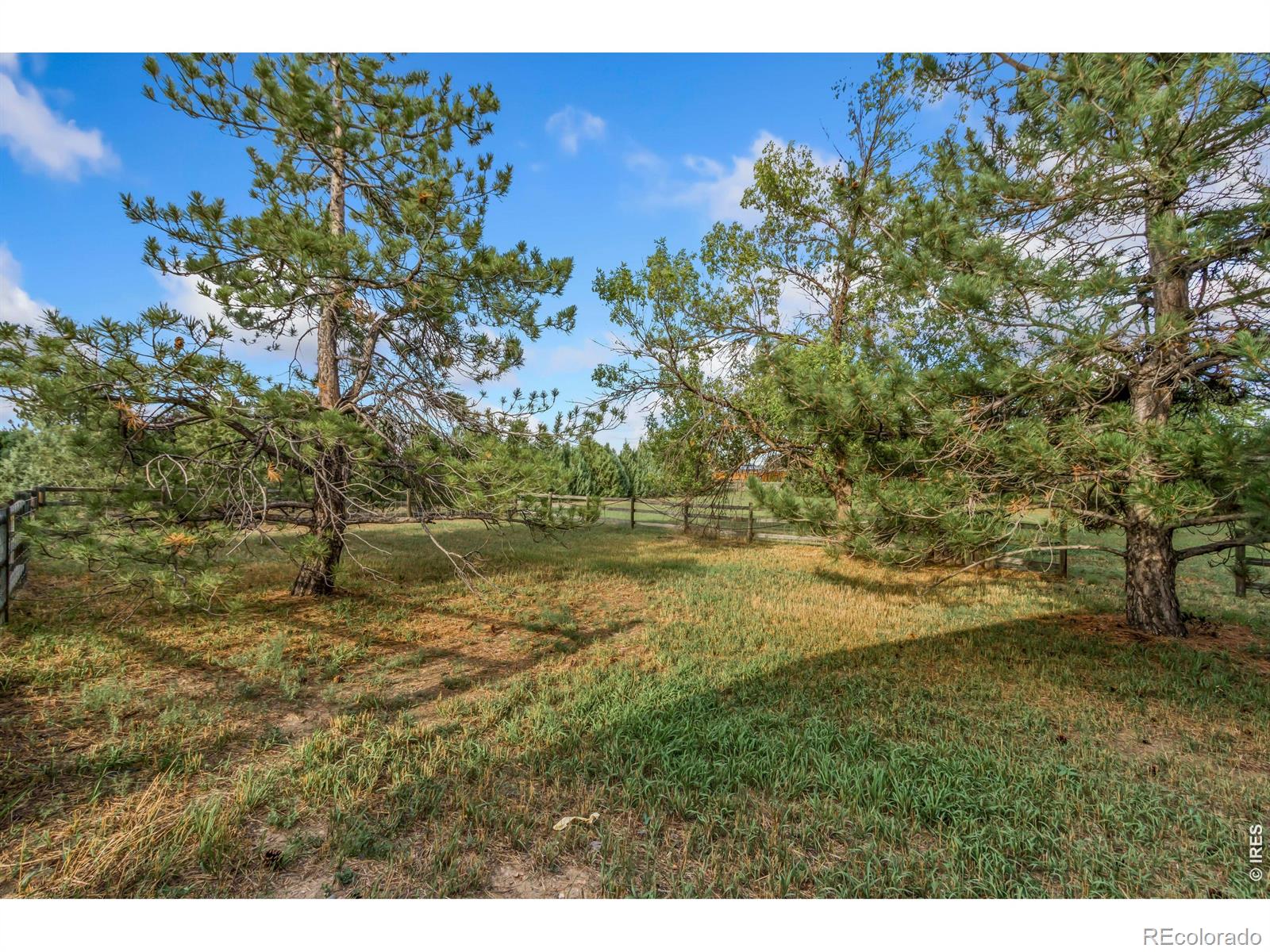 MLS Image #28 for 400  gait circle,fort collins, Colorado