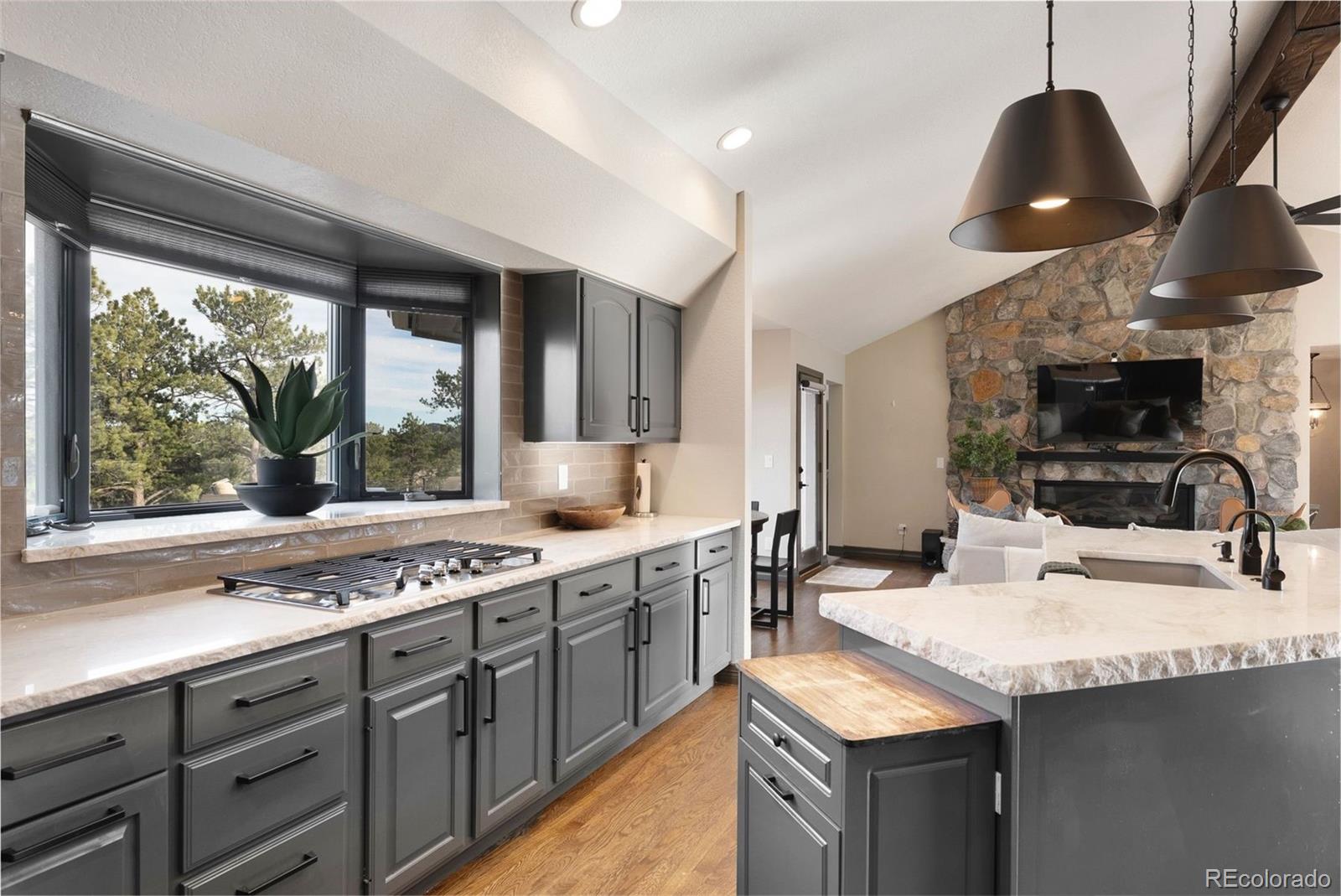 MLS Image #12 for 33000  serendipity trail,evergreen, Colorado