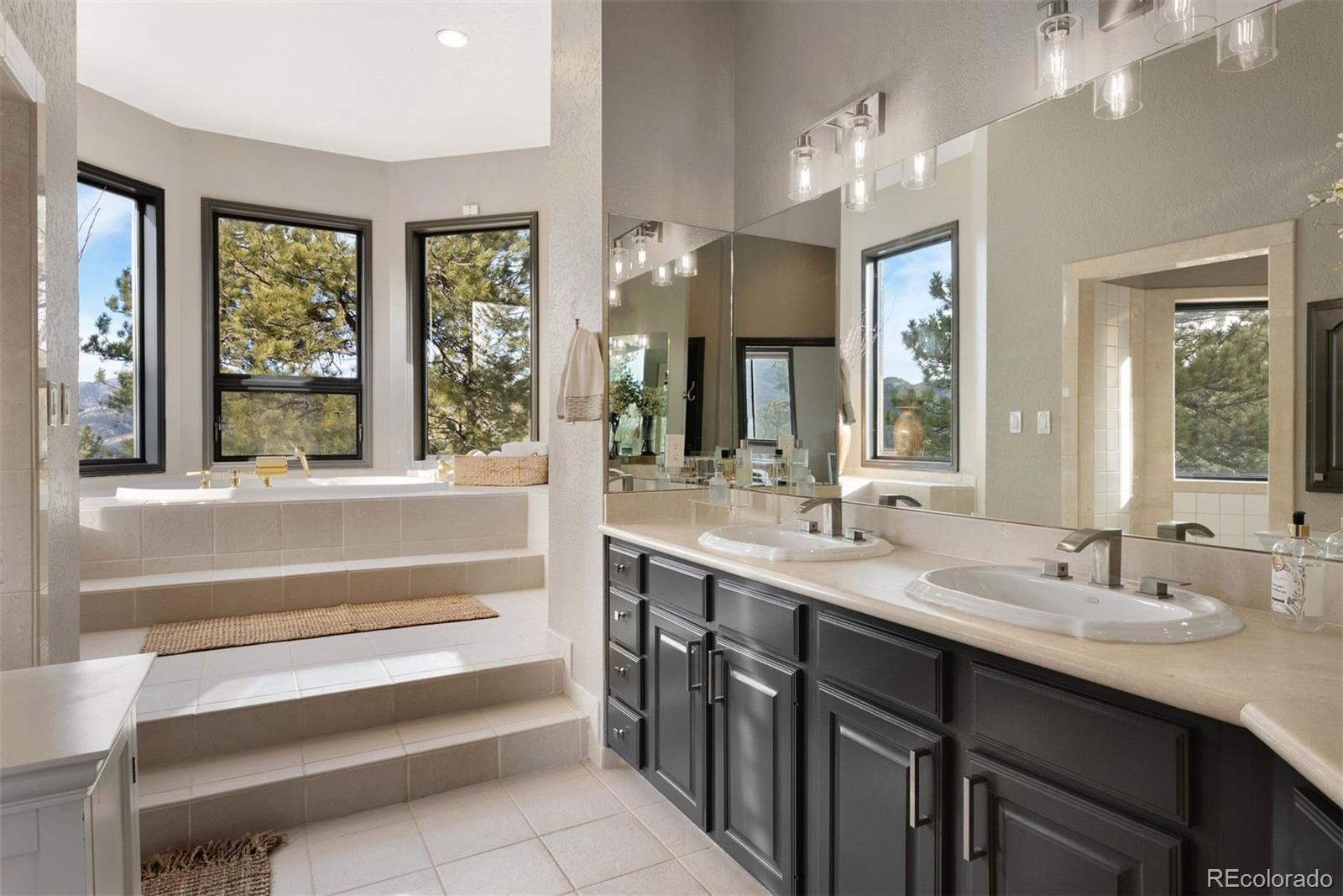 MLS Image #24 for 33000  serendipity trail,evergreen, Colorado