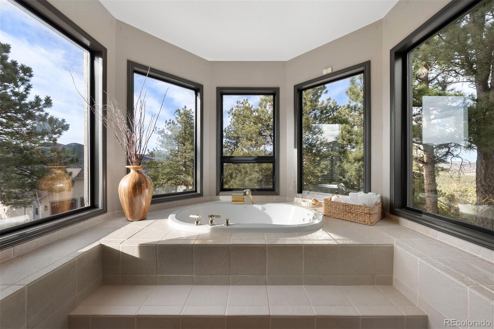MLS Image #25 for 33000  serendipity trail,evergreen, Colorado