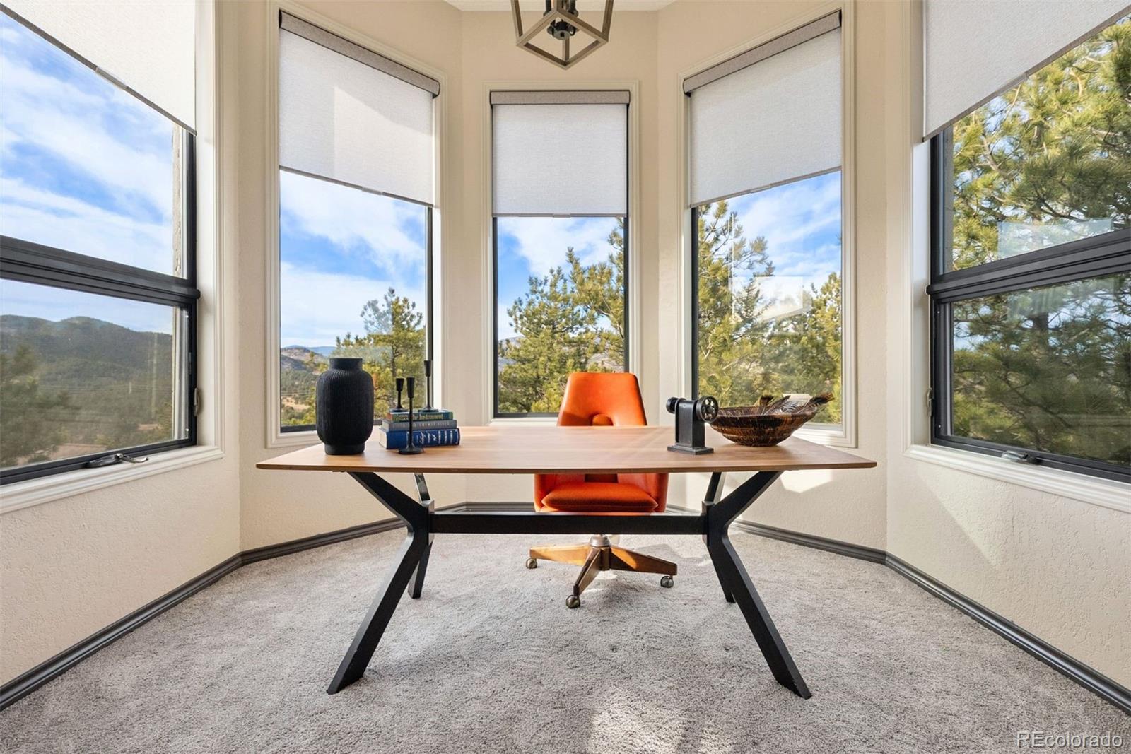 MLS Image #29 for 33000  serendipity trail,evergreen, Colorado