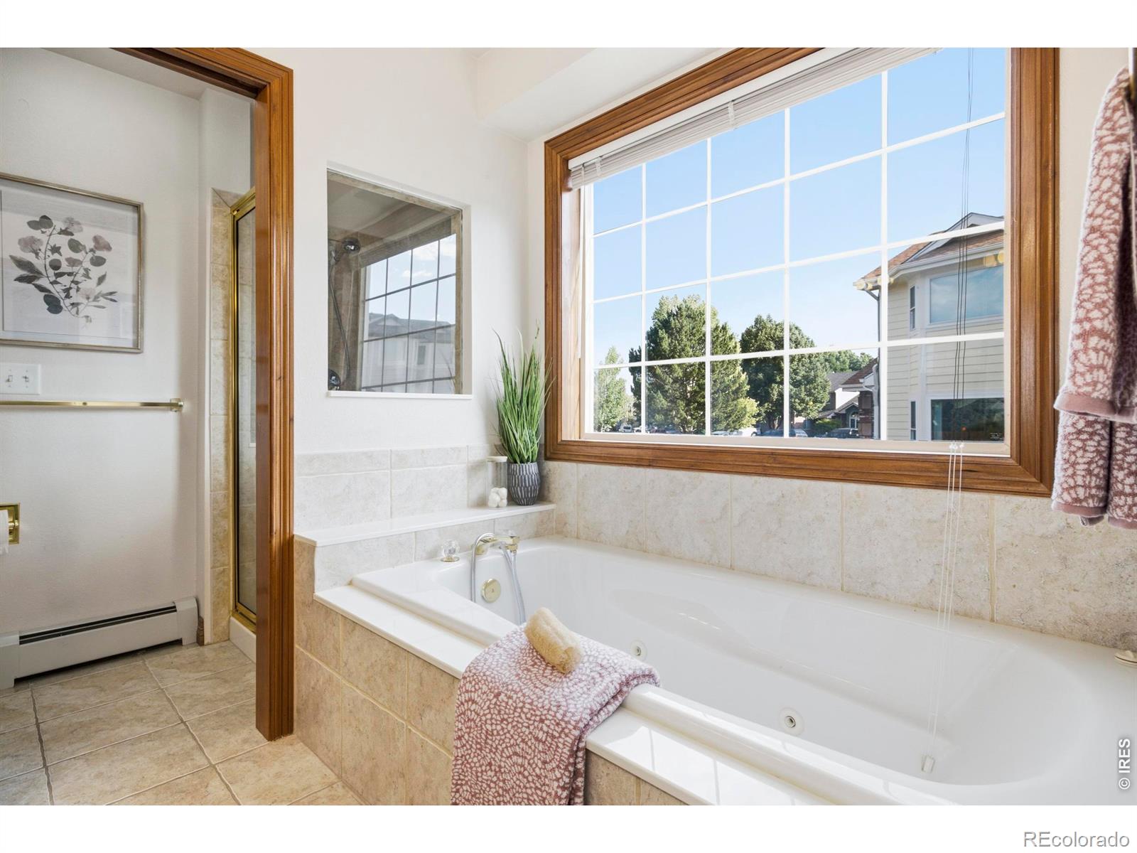 MLS Image #21 for 981  jordache drive,loveland, Colorado