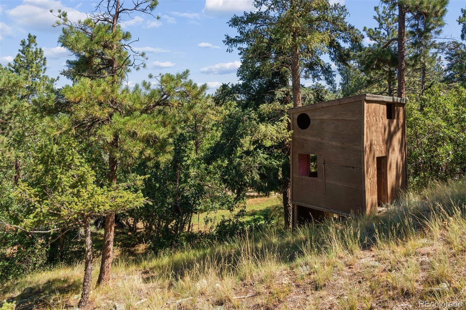 MLS Image #46 for 1015  timber valley road,colorado springs, Colorado