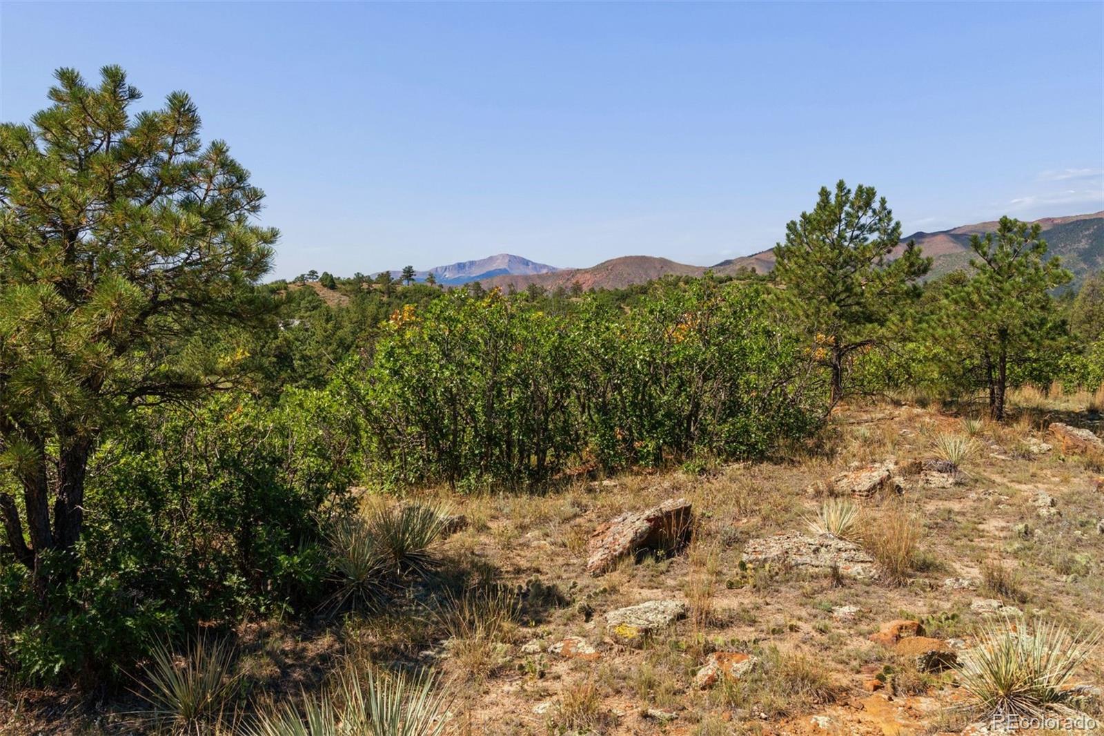 MLS Image #47 for 1015  timber valley road,colorado springs, Colorado
