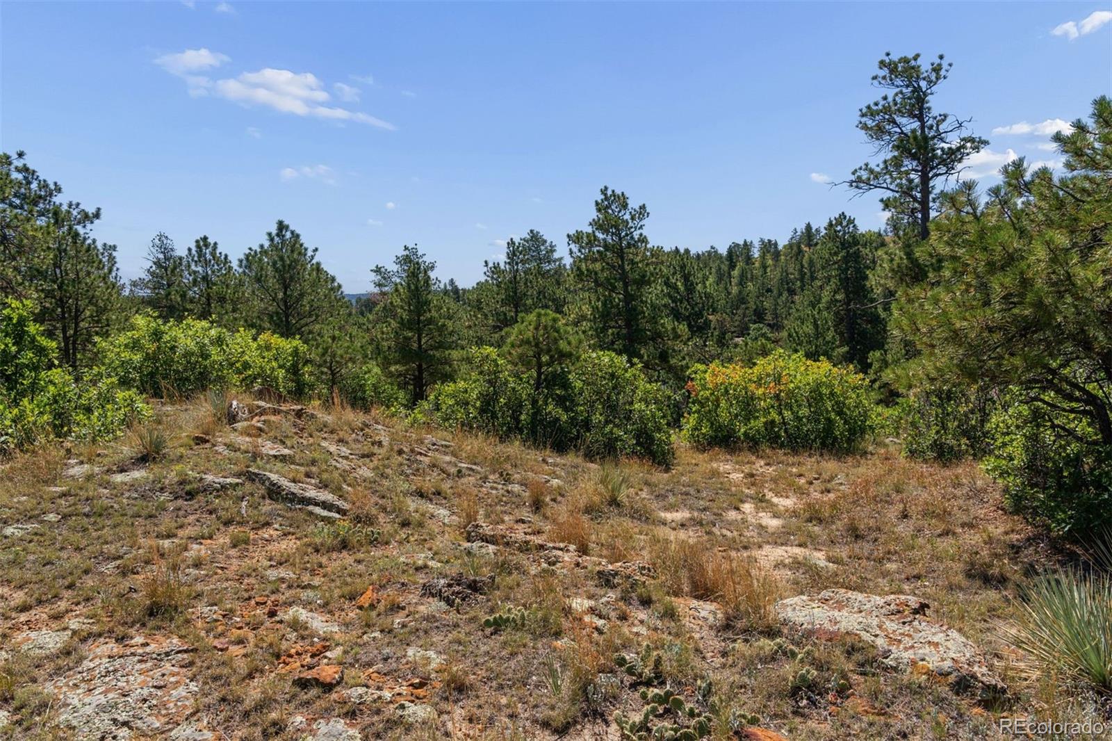 MLS Image #48 for 1015  timber valley road,colorado springs, Colorado