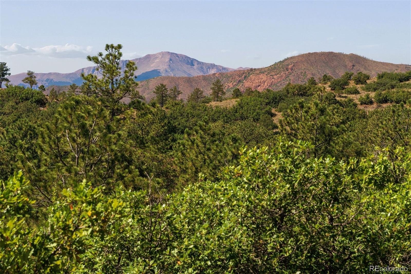 MLS Image #8 for 1015  timber valley road,colorado springs, Colorado