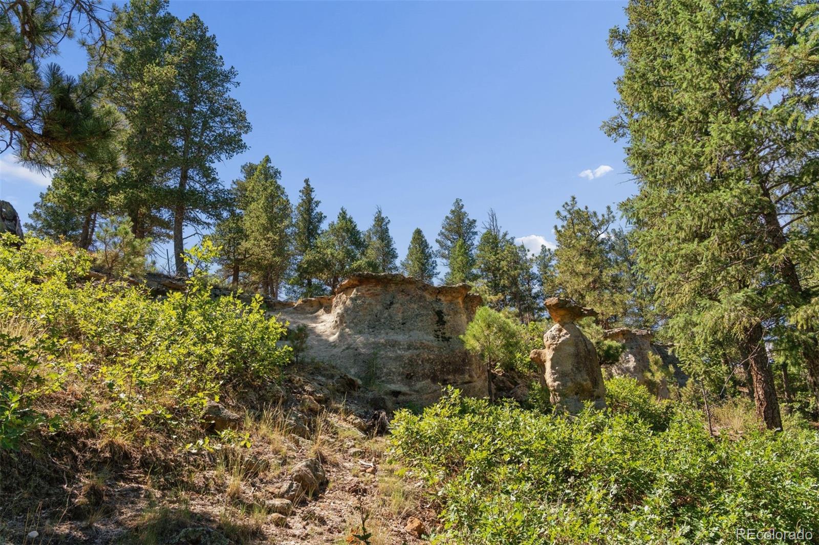 MLS Image #9 for 1015  timber valley road,colorado springs, Colorado