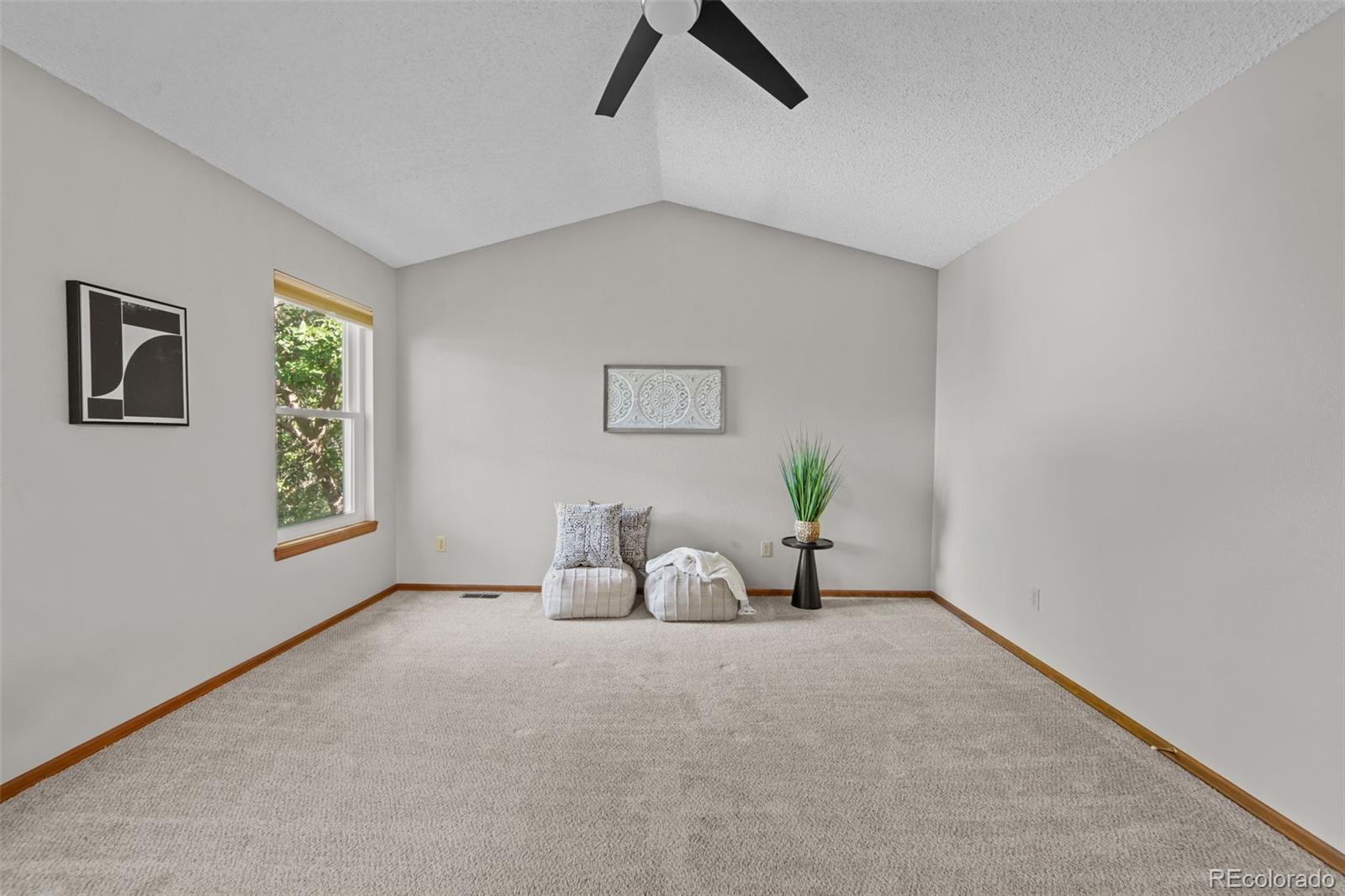MLS Image #15 for 170  creekside lane ,colorado springs, Colorado