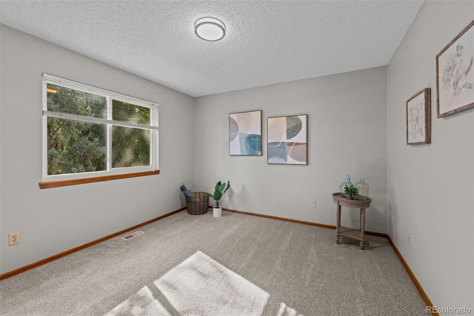 MLS Image #18 for 170  creekside lane ,colorado springs, Colorado