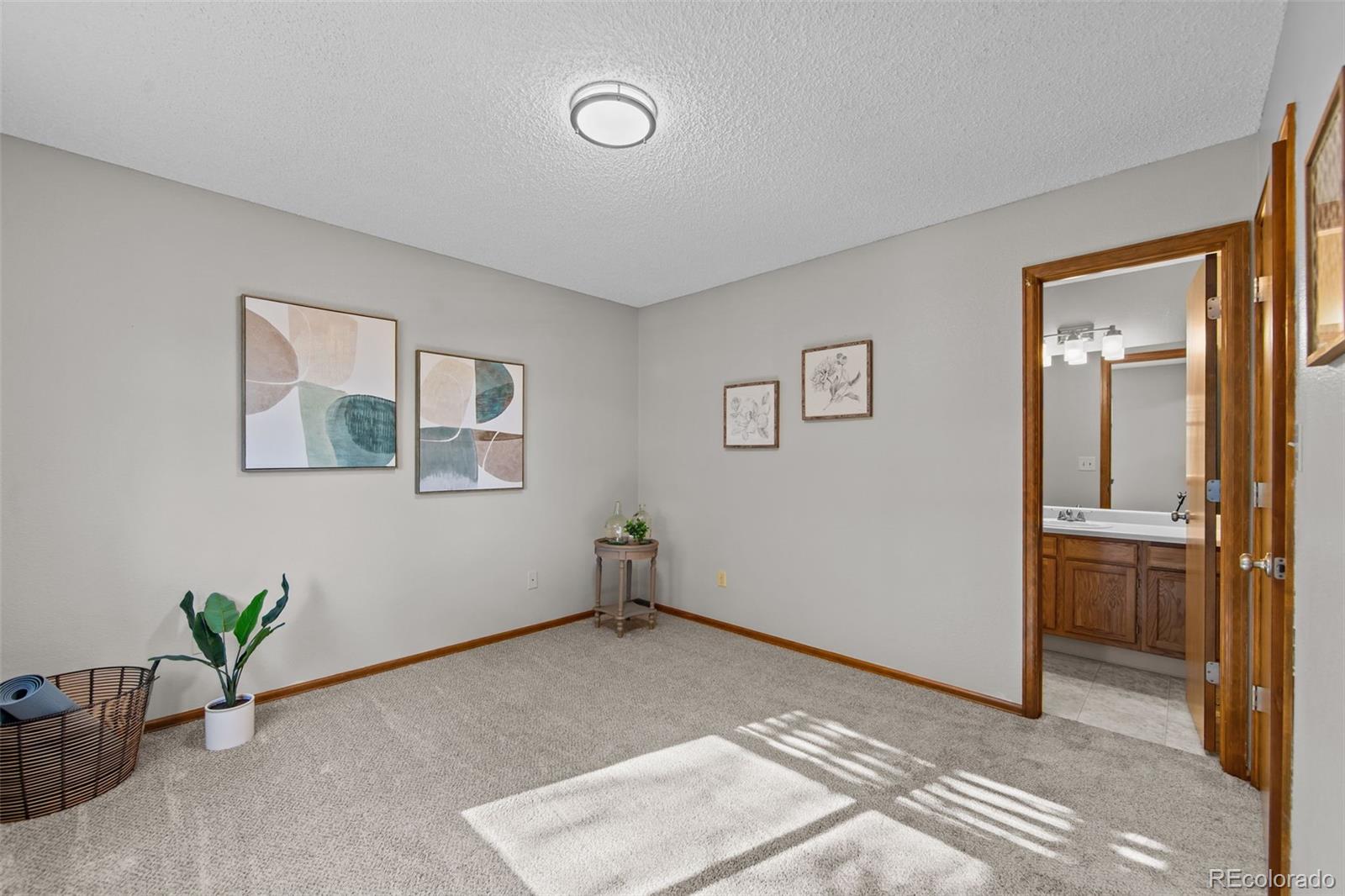 MLS Image #19 for 170  creekside lane ,colorado springs, Colorado