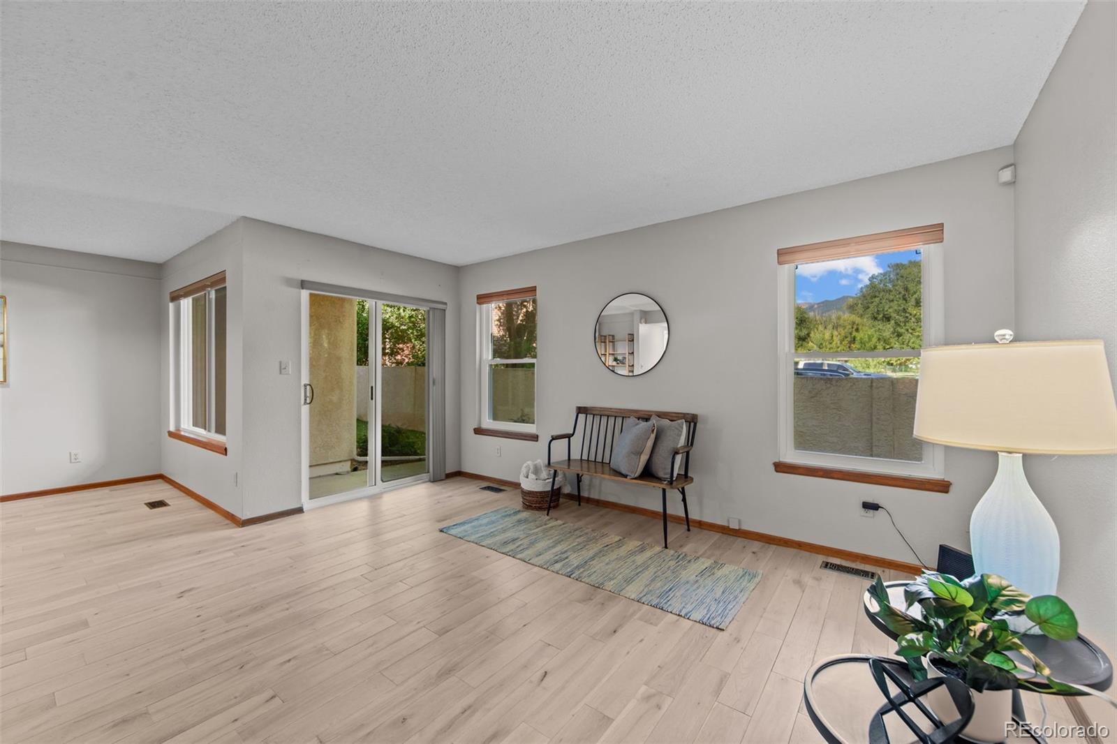 MLS Image #8 for 170  creekside lane ,colorado springs, Colorado