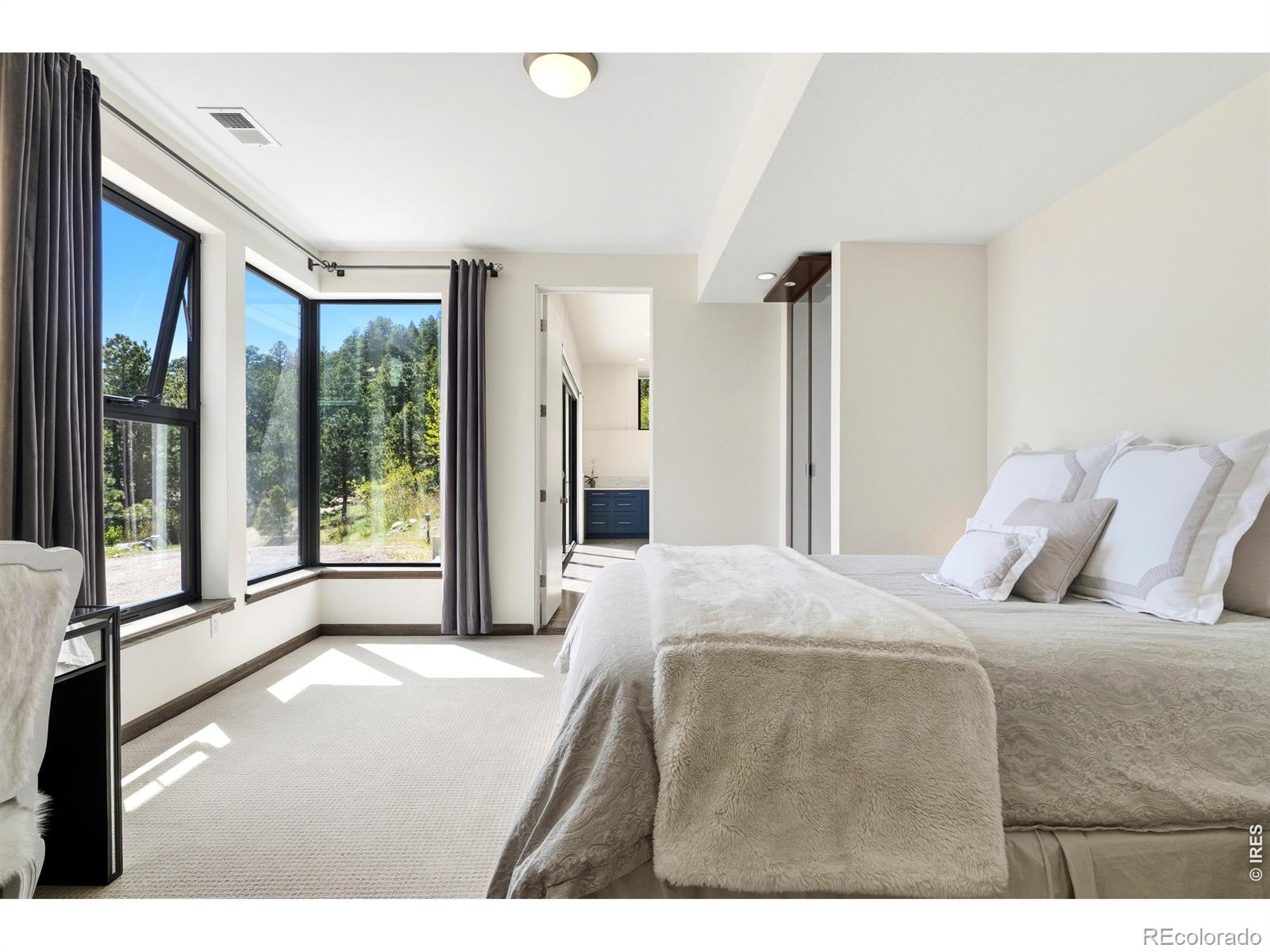 MLS Image #38 for 660 s peak road,boulder, Colorado