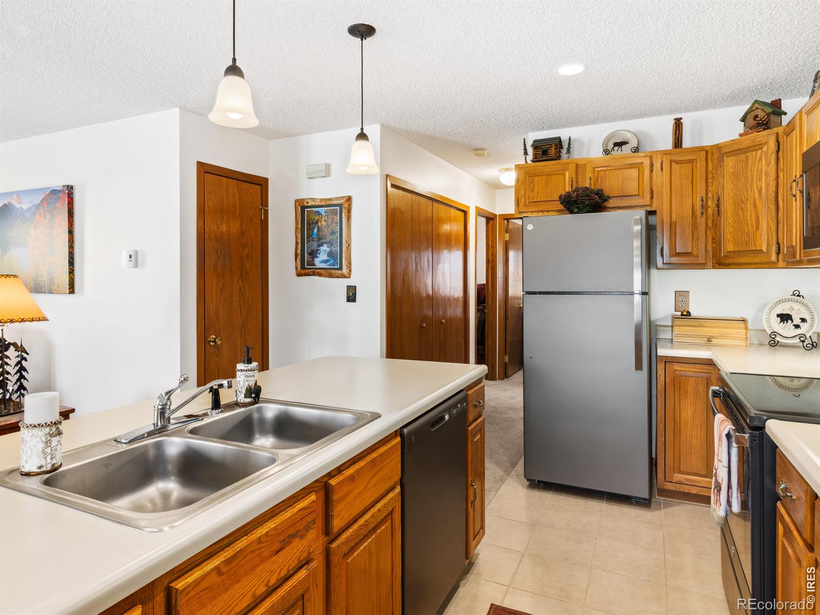 MLS Image #16 for 1787  olympian lane,estes park, Colorado