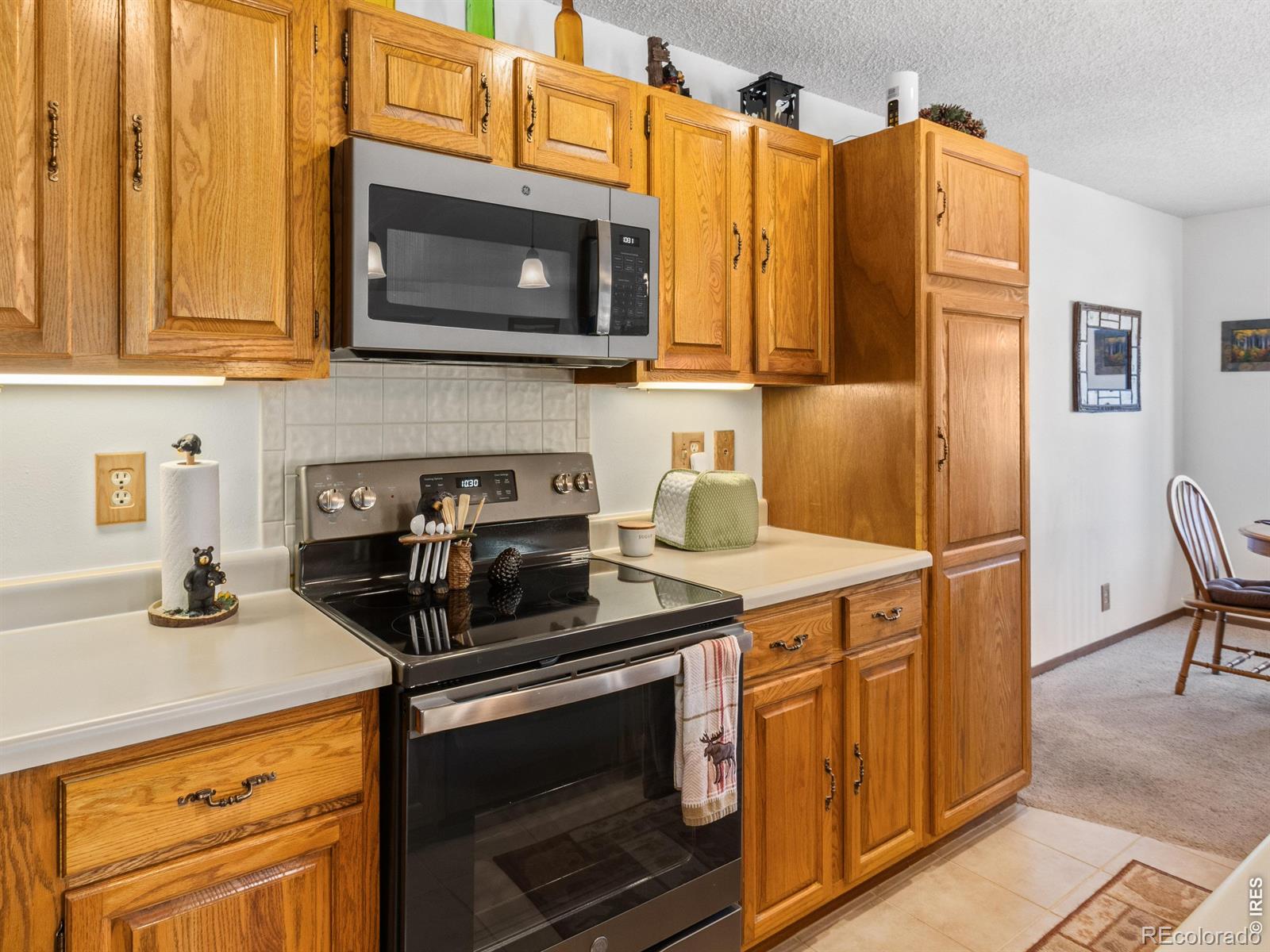 MLS Image #17 for 1787  olympian lane,estes park, Colorado