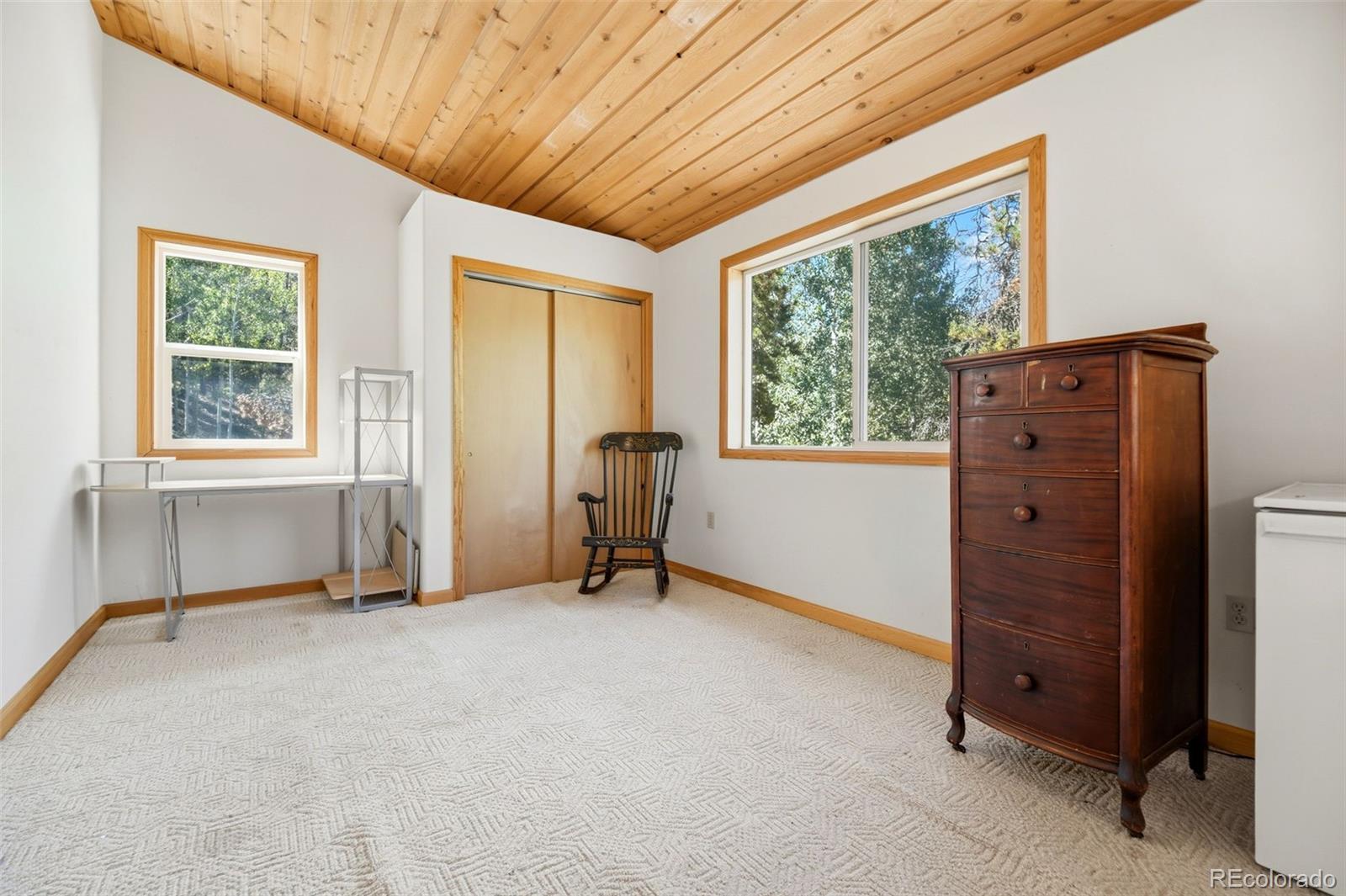 MLS Image #13 for 7101  county road 43 ,bailey, Colorado
