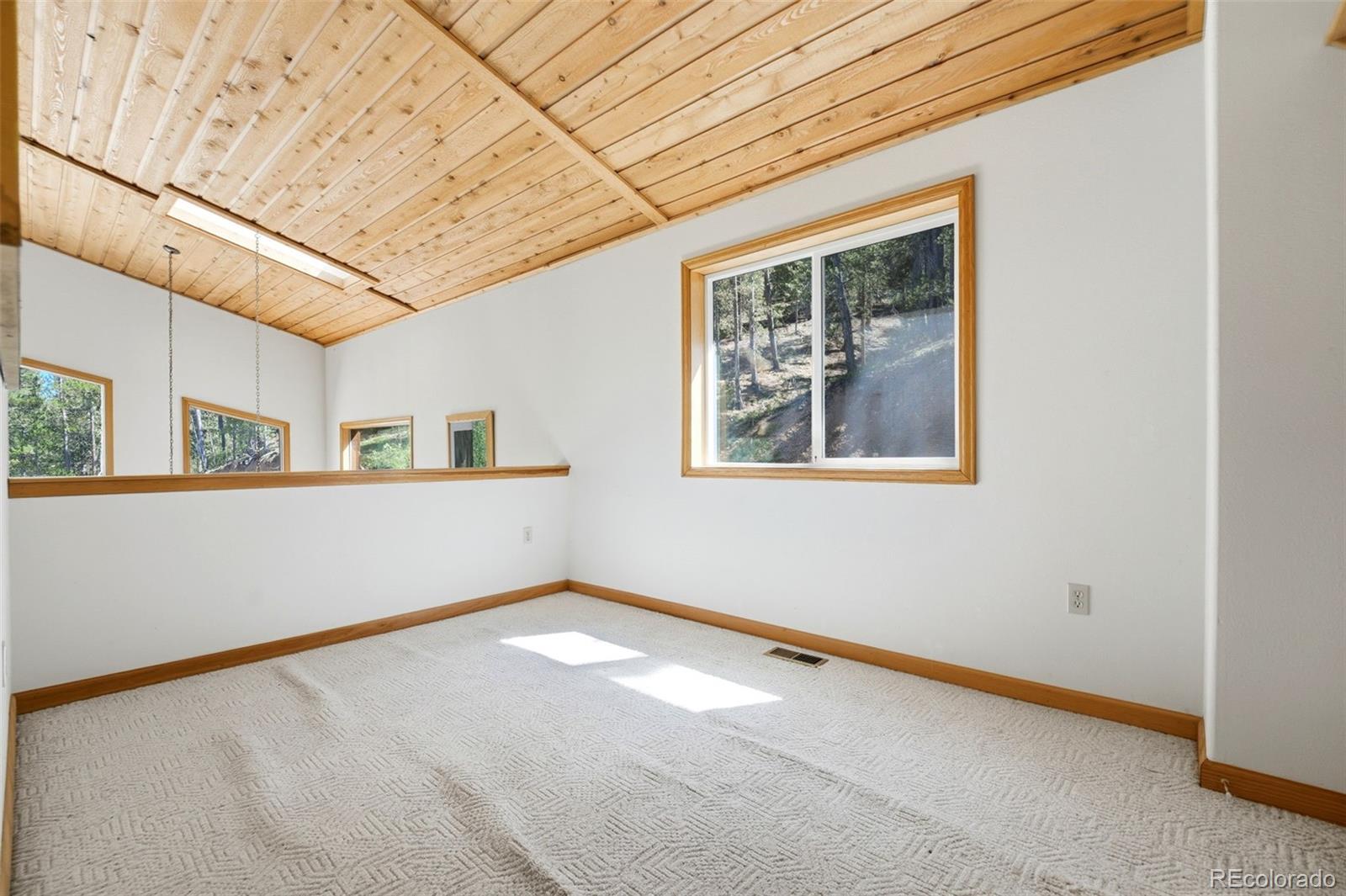 MLS Image #14 for 7101  county road 43 ,bailey, Colorado