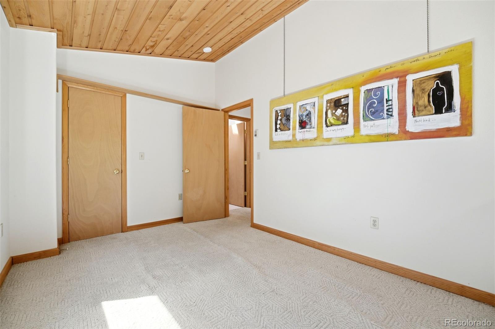 MLS Image #15 for 7101  county road 43 ,bailey, Colorado