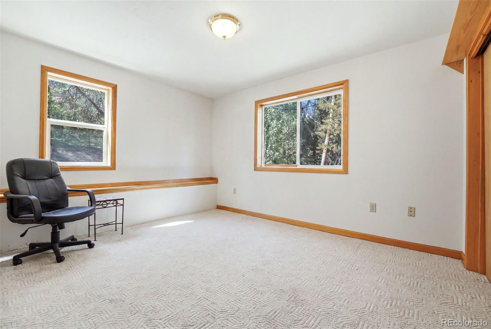 MLS Image #16 for 7101  county road 43 ,bailey, Colorado